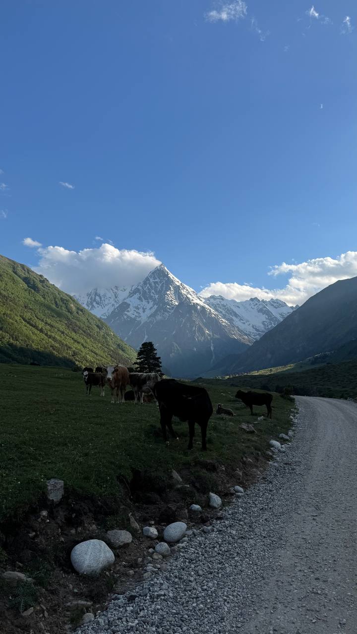 Все ущелья Кабардино-Балкарии на джипе и с комфортом! (26/59)