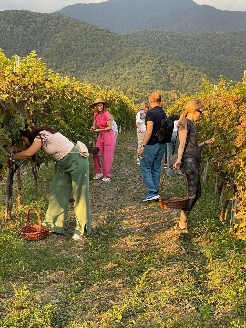 Ртвели В Винной Кахетии 2026  праздник сбора урожая (10/32)