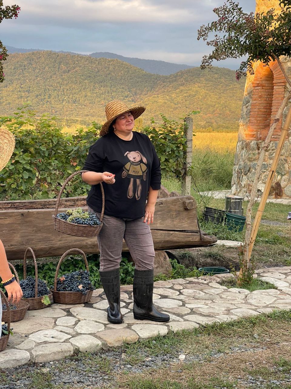 Ртвели В Винной Кахетии 2026  праздник сбора урожая (11/32)