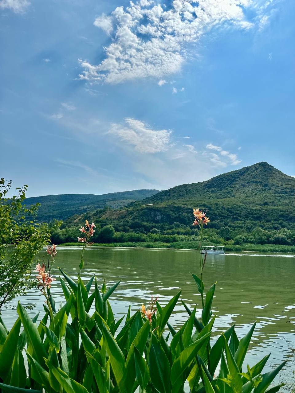 Две столицы в одном туре: контрастный Тбилиси и древний Мцхета - Групповая экскурсия (12/58)