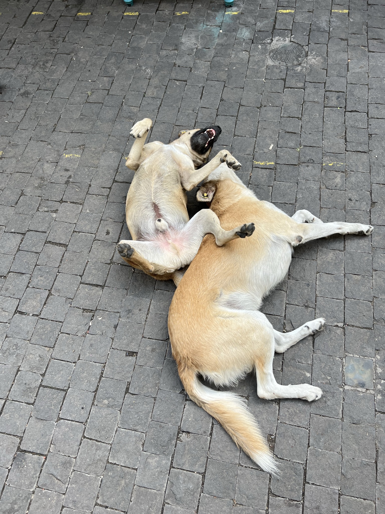 Две столицы в одном туре: контрастный Тбилиси и древний Мцхета - Групповая экскурсия (43/58)