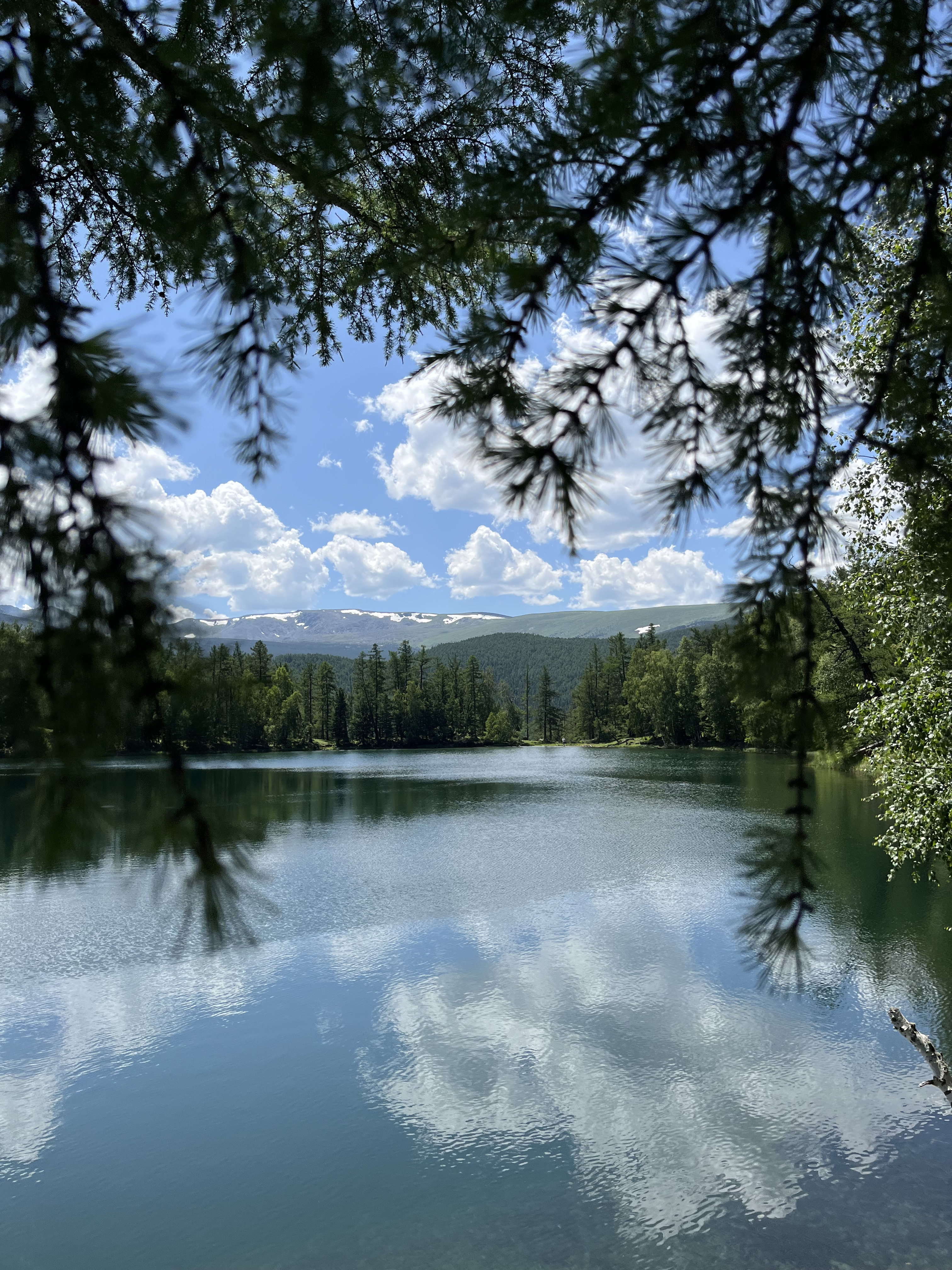 Тайны Чуйского тракта 4 дня (13/16)