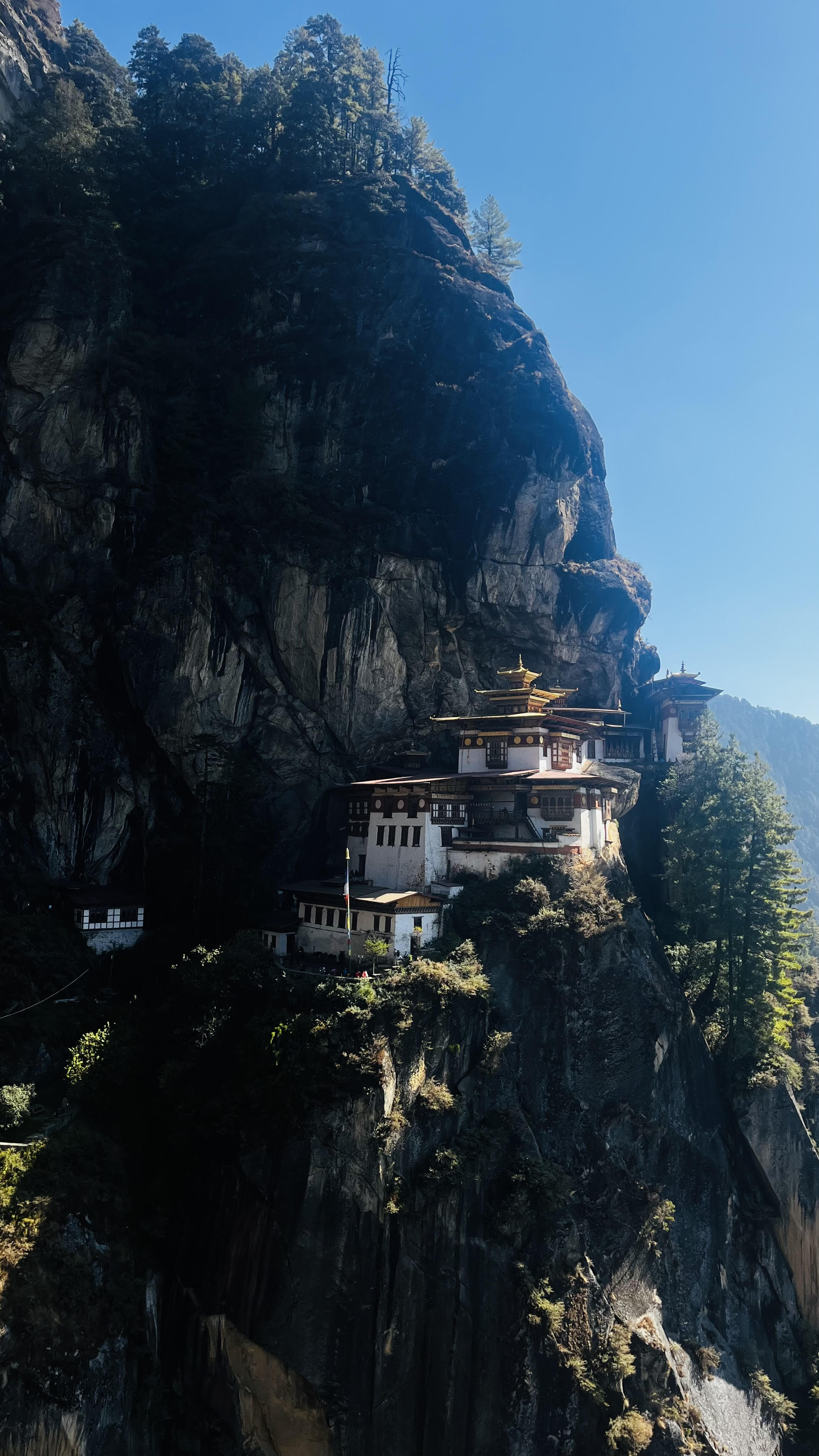 Непал+Бутан за 11 дней с русскоязычным гидом (14/14)