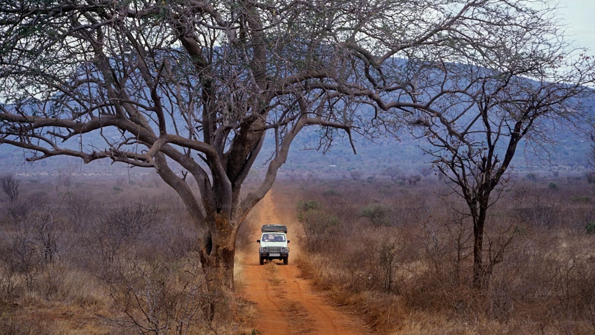 Сафари-тур в Кении за 7 дней. Найваша - Амбосели - Цаво Вест (индивидуально) (21/21)