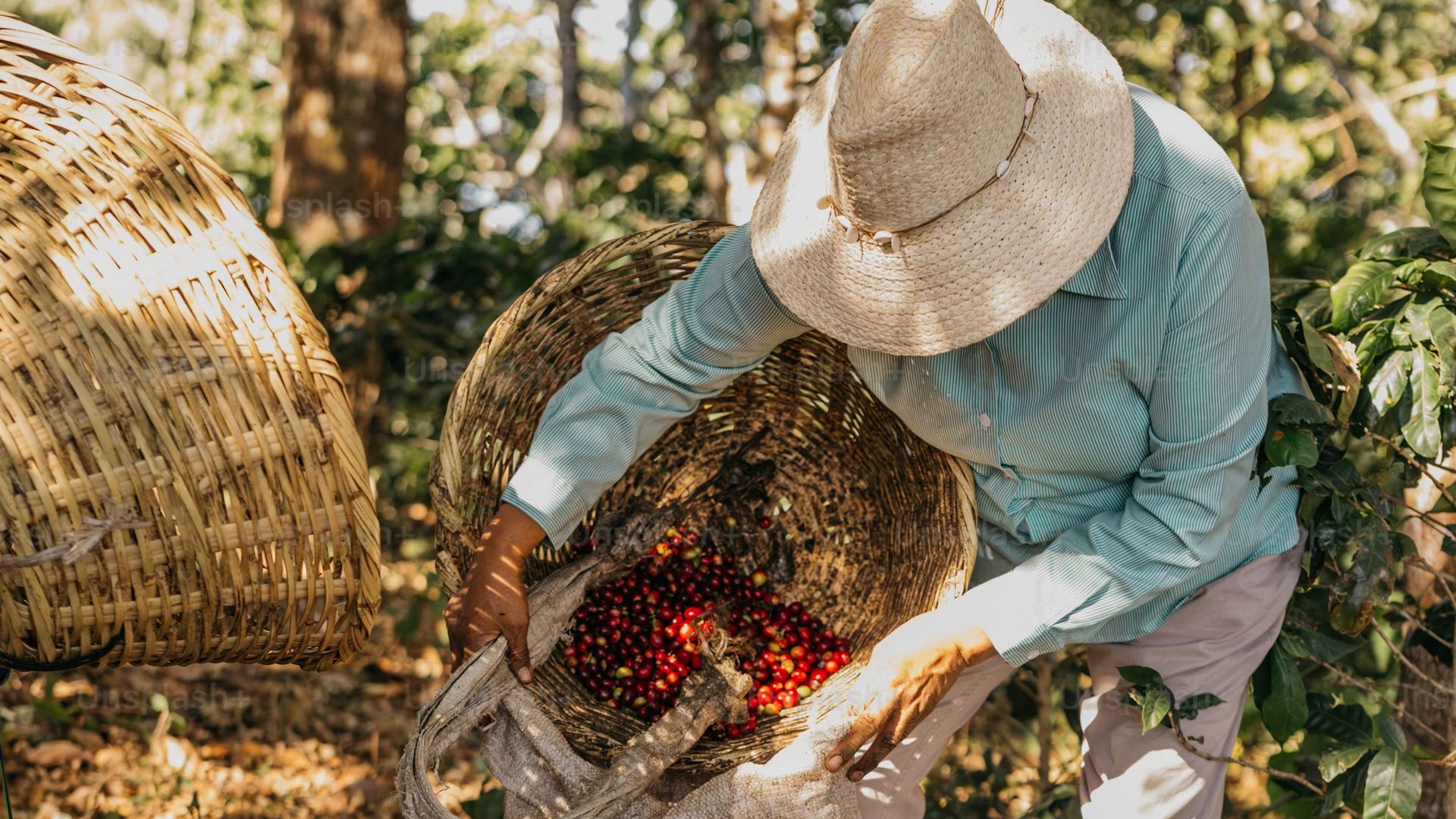 Сафари-тур в Кении за 7 дней. Найваша - Амбосели - Цаво Вест (индивидуально) (7/21)