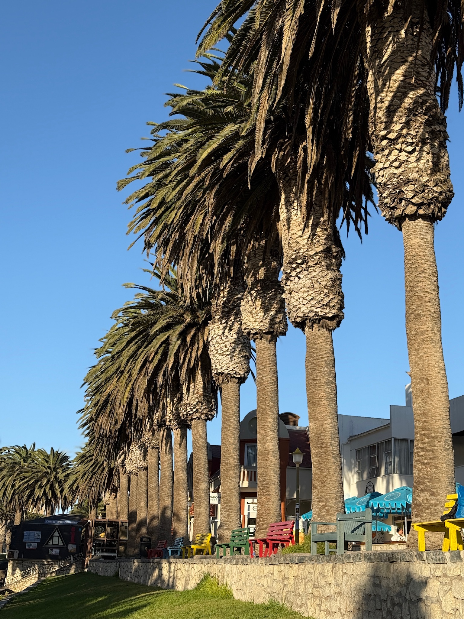 Таинственная Намибия (8/22)