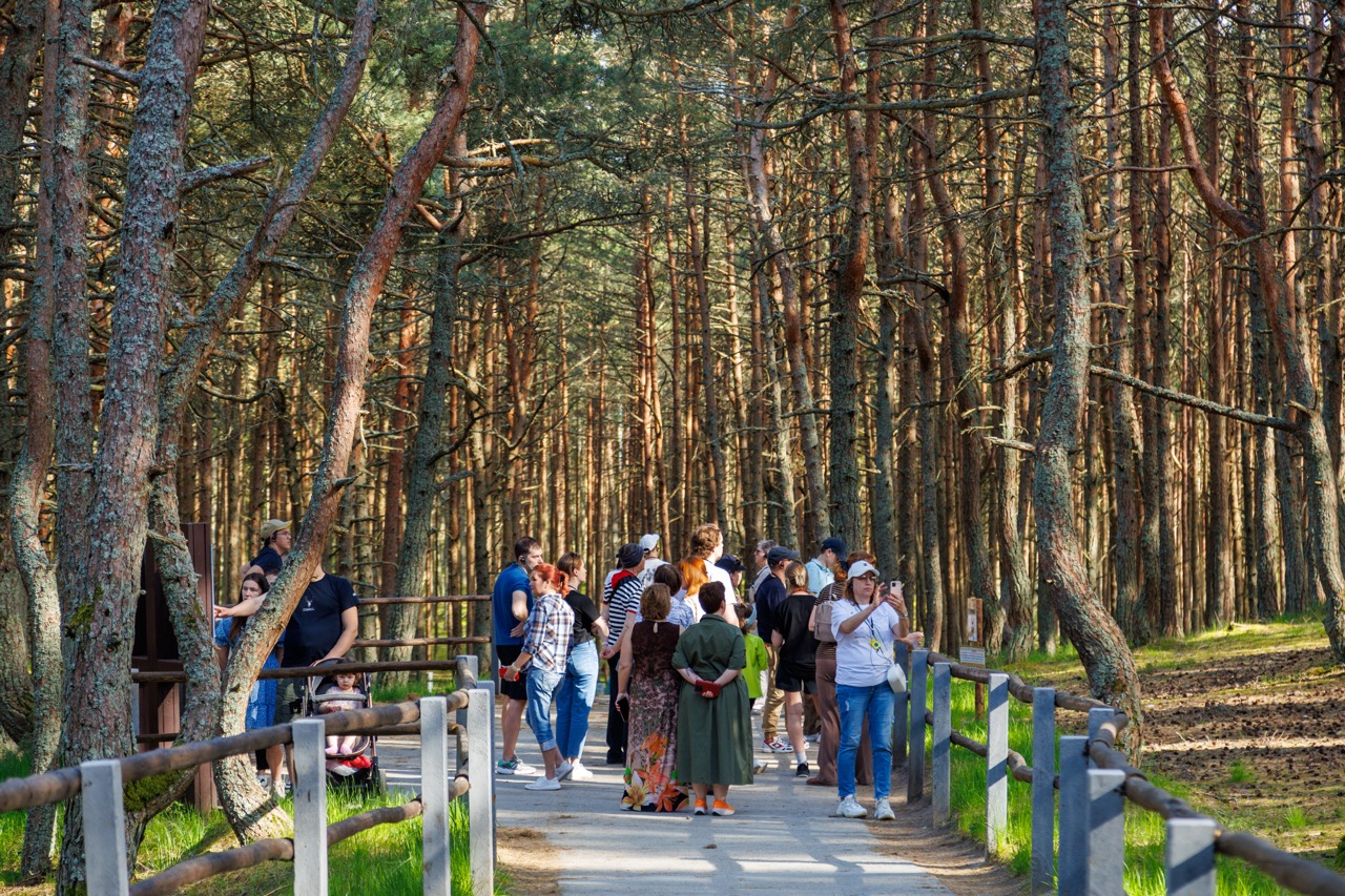Балтийский экспресс на 4 дня - цикличный тур с заездом в любой день (37/40)