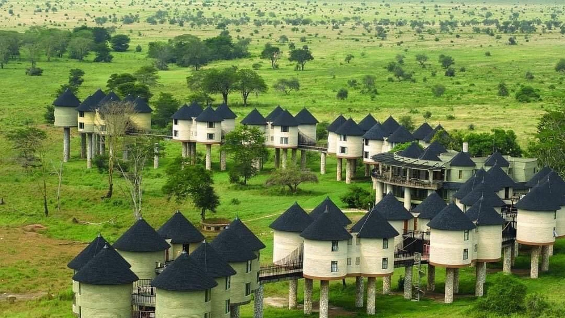 Сафари-тур в Кении за 7 дней. Найваша - Амбосели - Цаво Вест (индивидуально) (16/21)