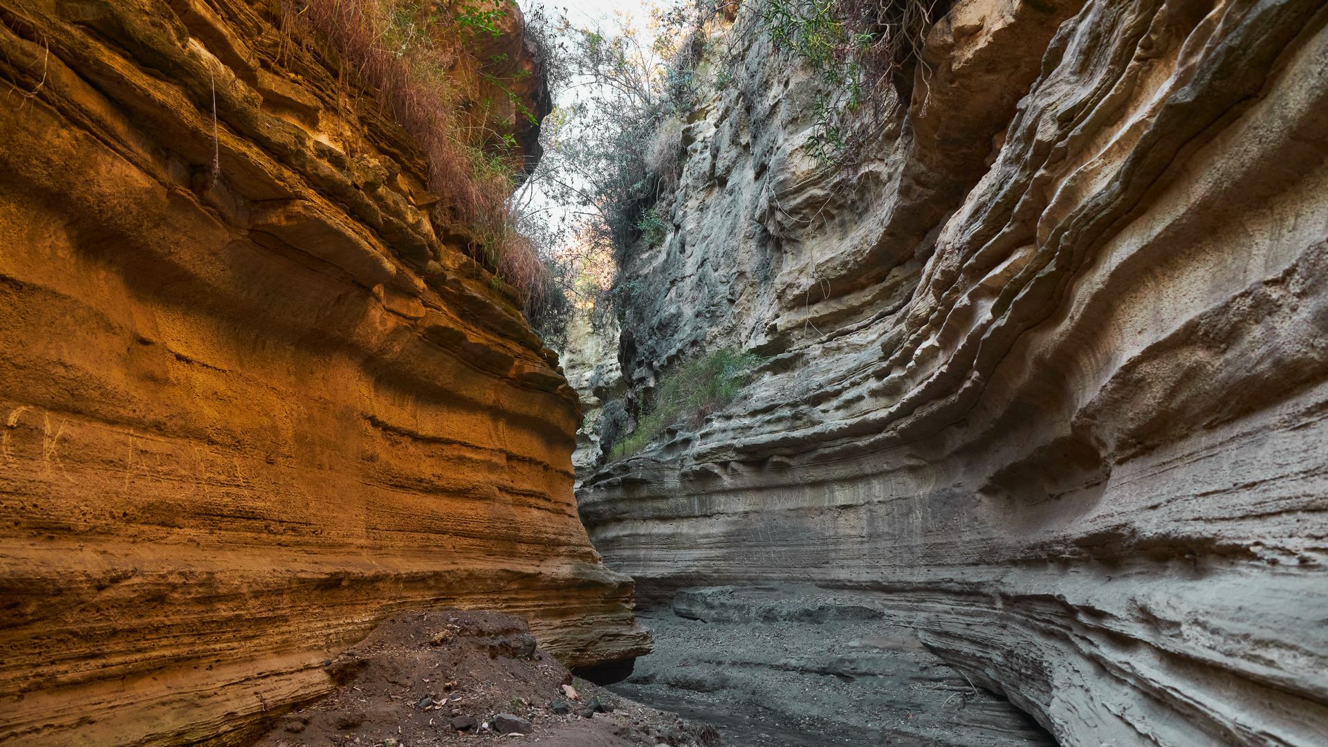 Сафари-тур в Кении за 7 дней. Найваша - Амбосели - Цаво Вест (индивидуально) (5/21)
