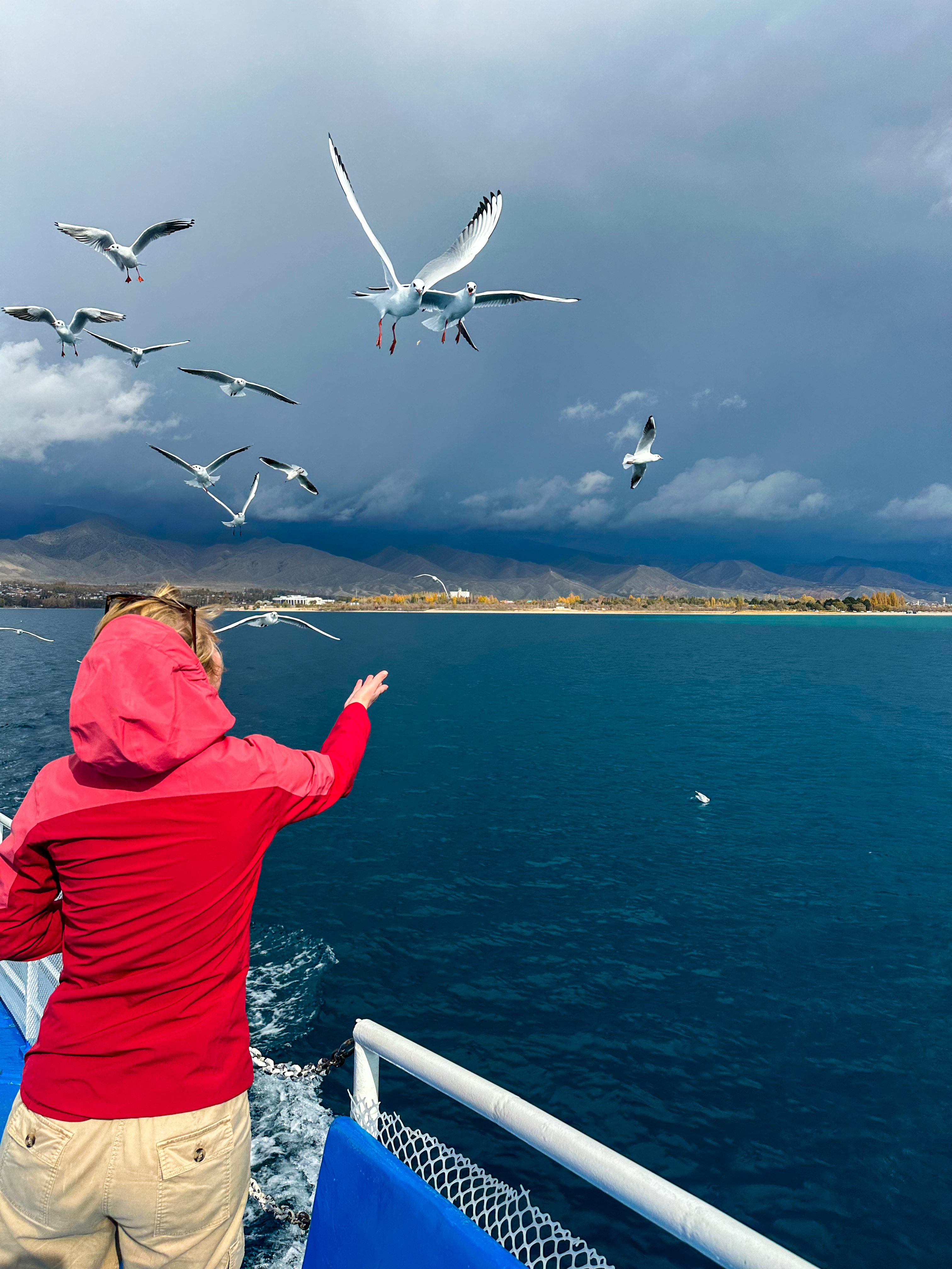 Первозданный Кыргызстан. Топ-10 мест. Все включено. (16/125)