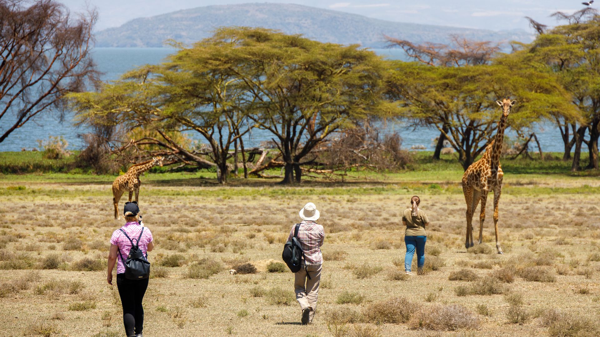 Сафари-тур в Кении за 7 дней. Найваша - Амбосели - Цаво Вест (индивидуально) (8/21)