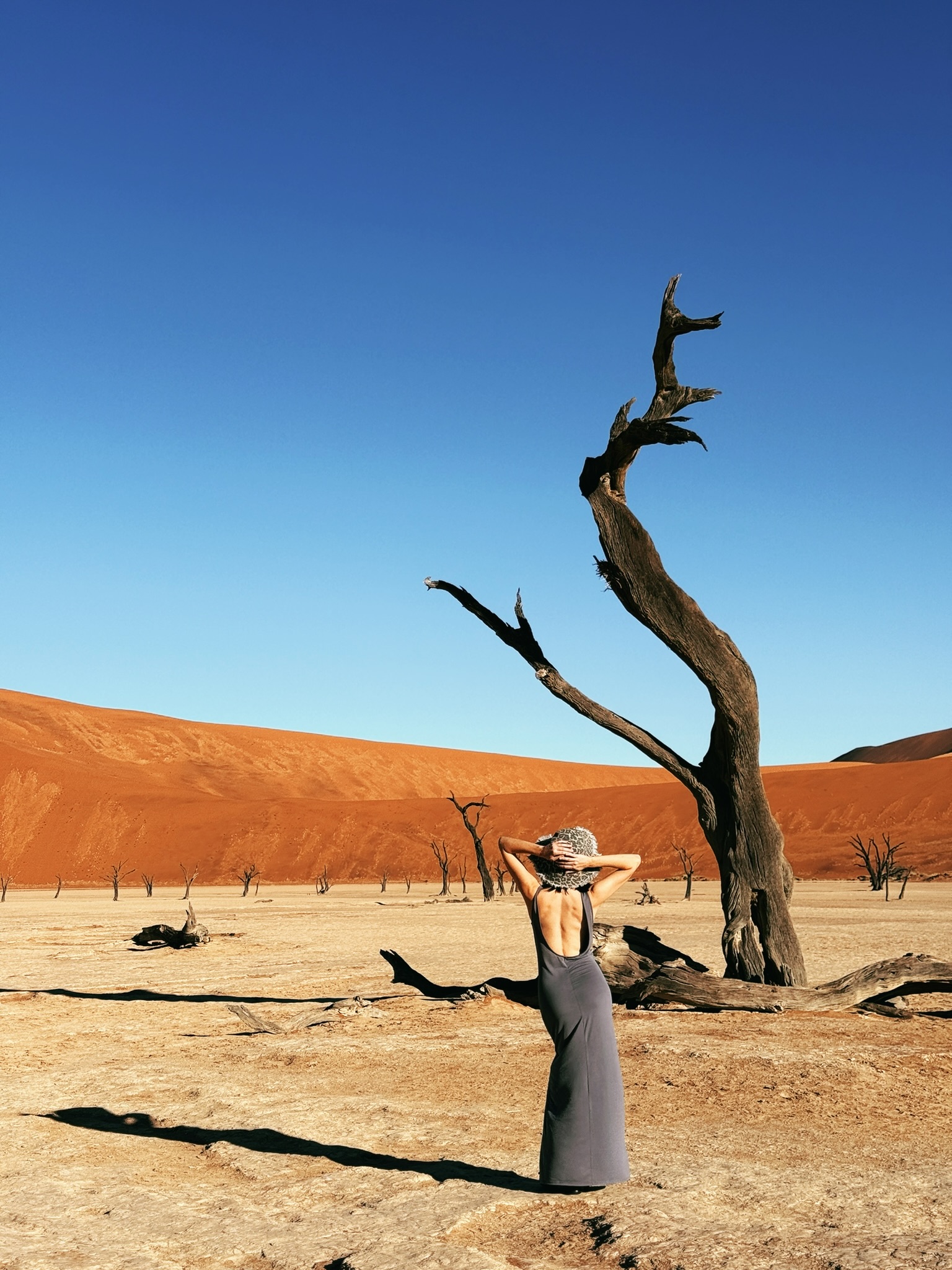 Таинственная Намибия (6/22)