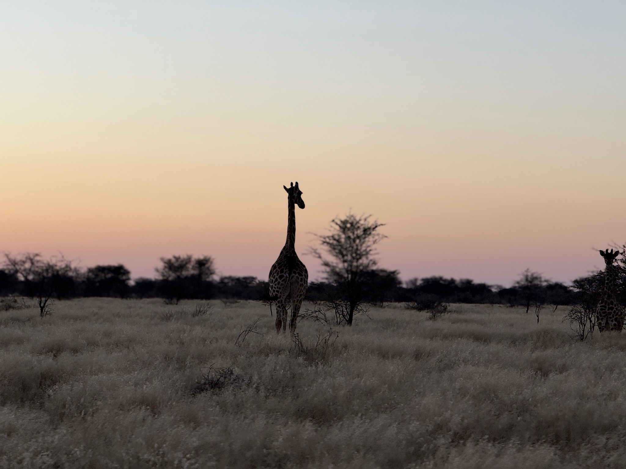 Таинственная Намибия (20/22)