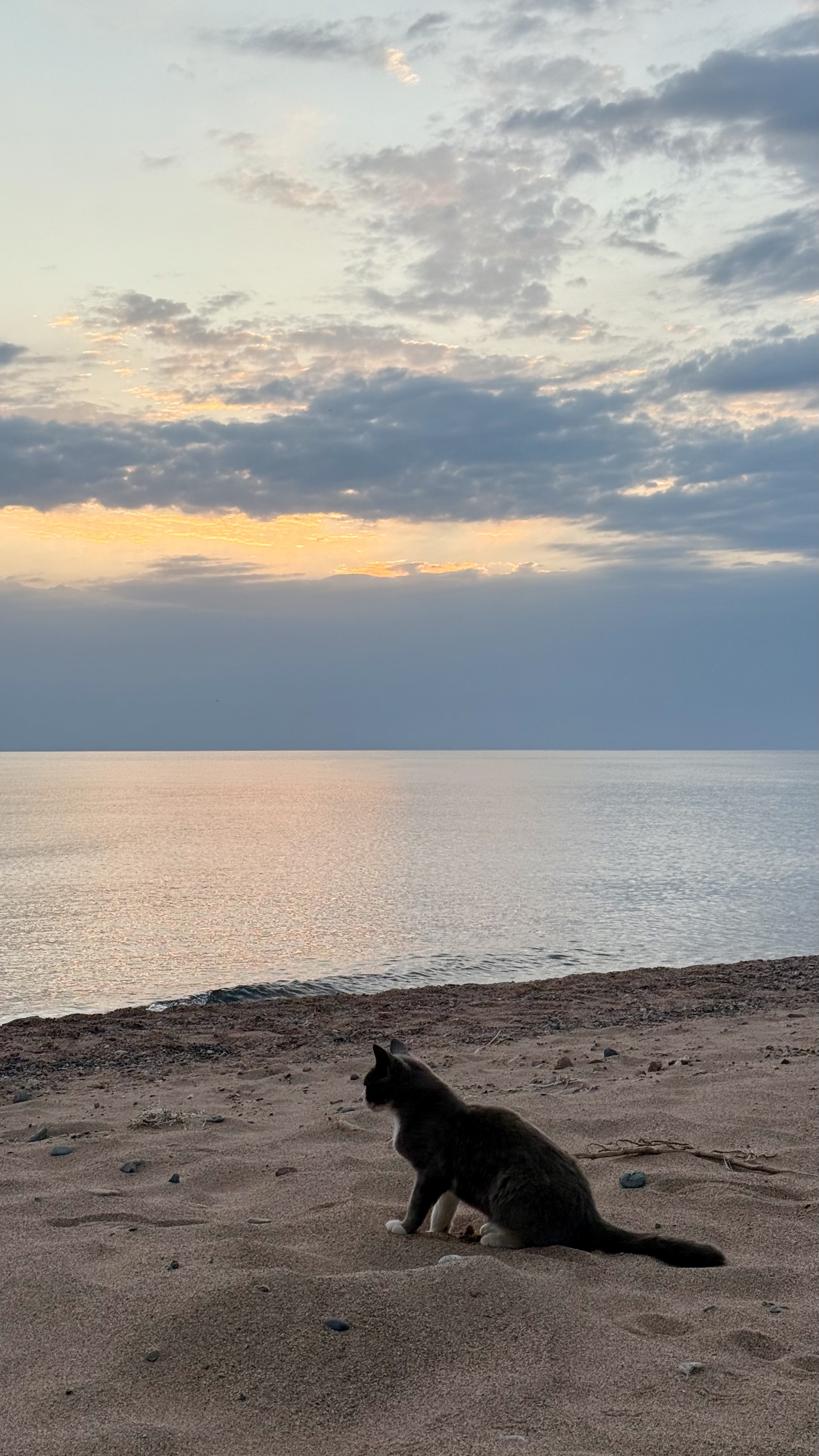 Первозданный Кыргызстан. Топ-10 мест. Все включено. (11/125)