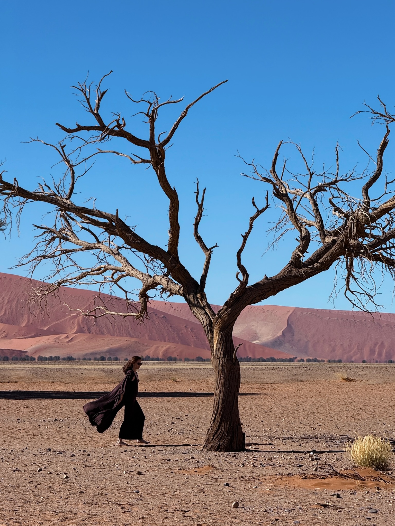 Таинственная Намибия (7/22)