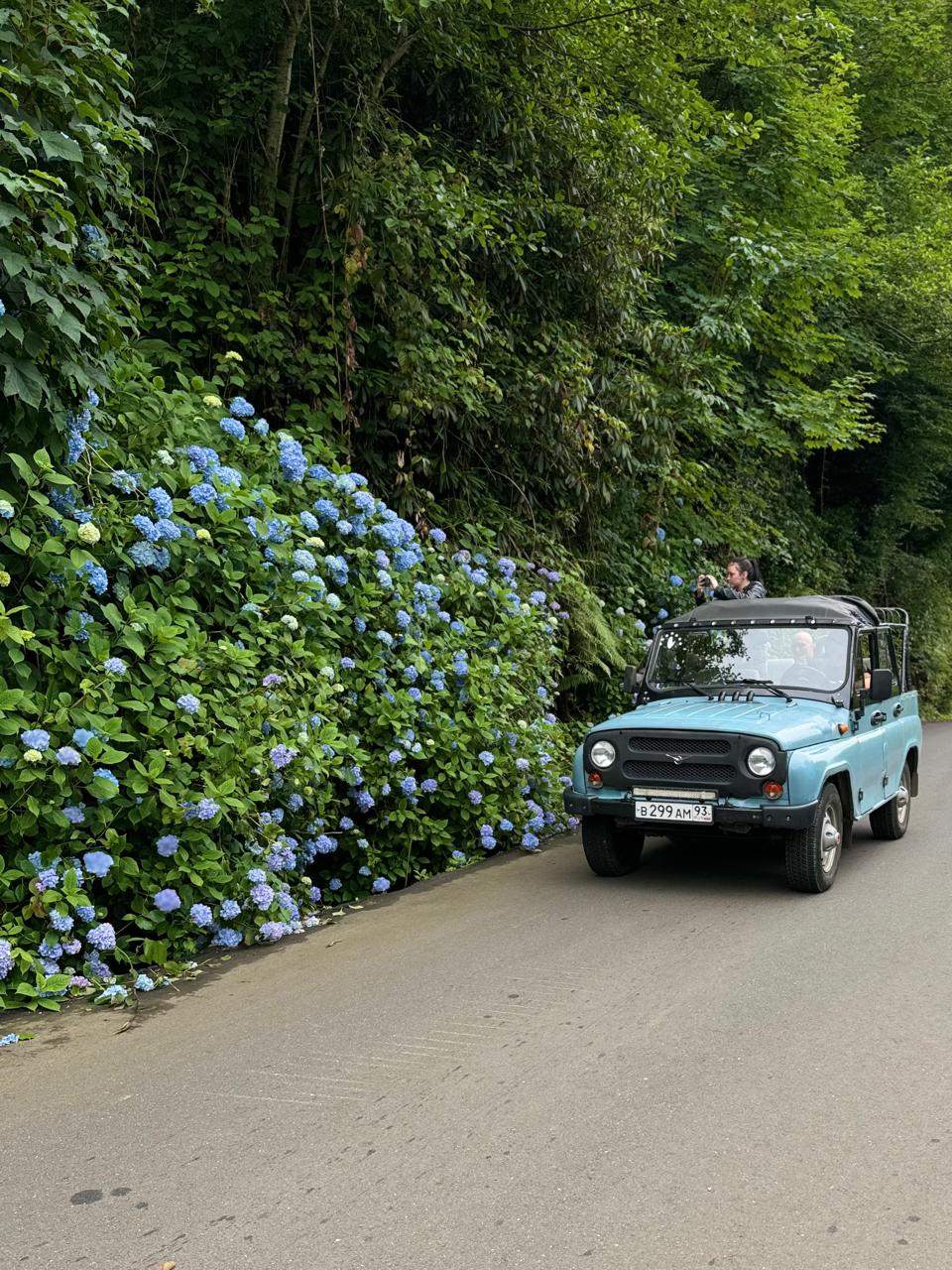 Гортензии и водопады Восточной Абхазии (4/14)