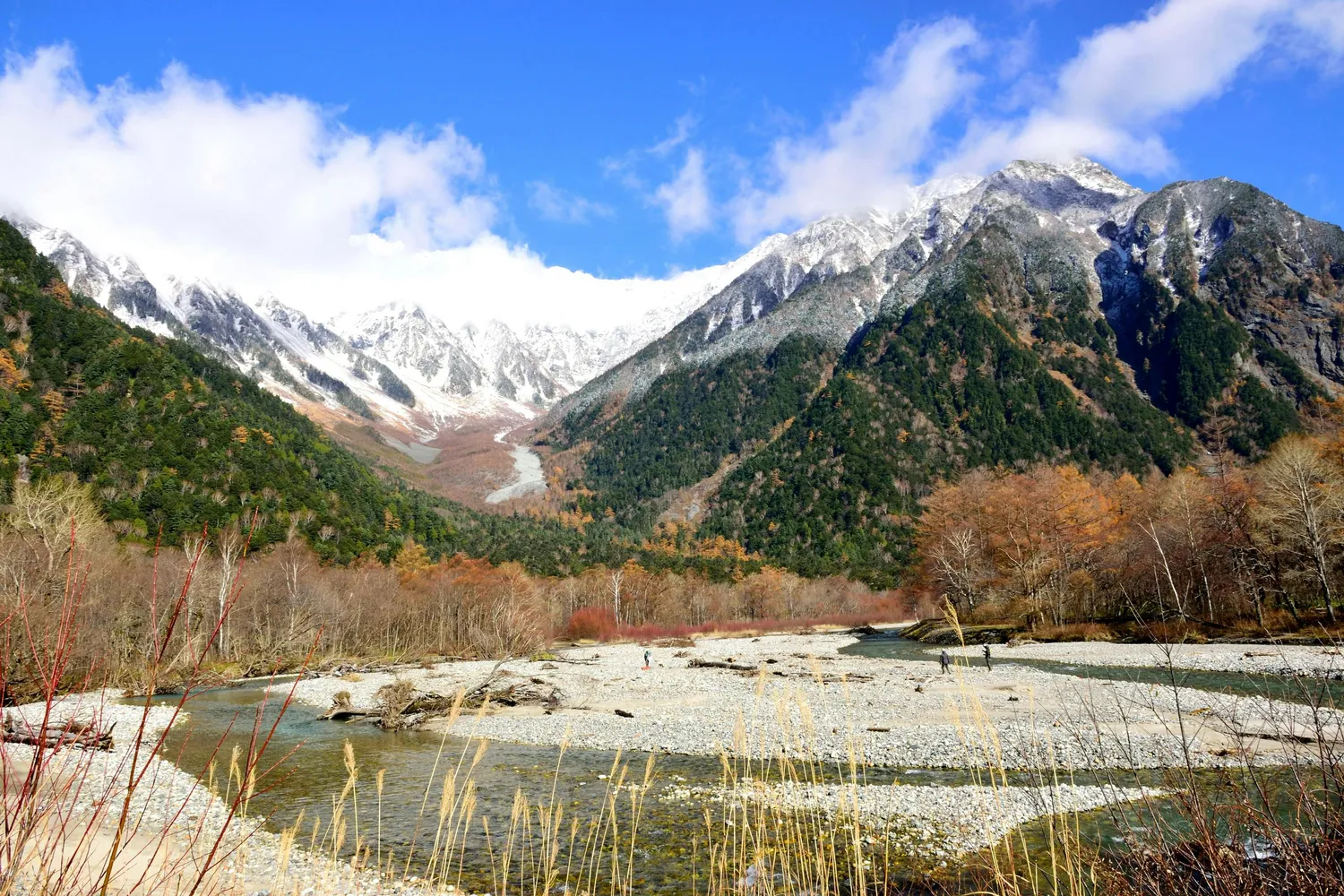 Японская Одиссея // Cheap (7/42)