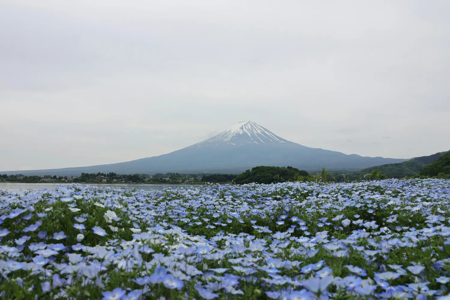 Японская Одиссея // Cheap (11/42)