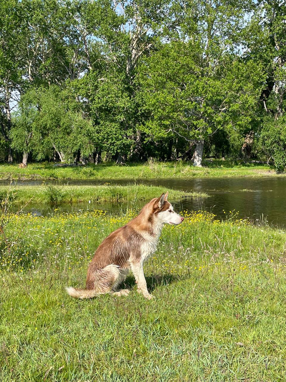 Большое Голоустное и величие Байкала (19/46)