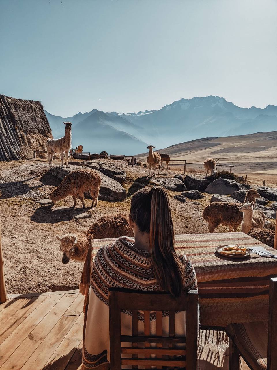 Эксклюзивное Перу, места силы + церемонии с медициной (18/39)