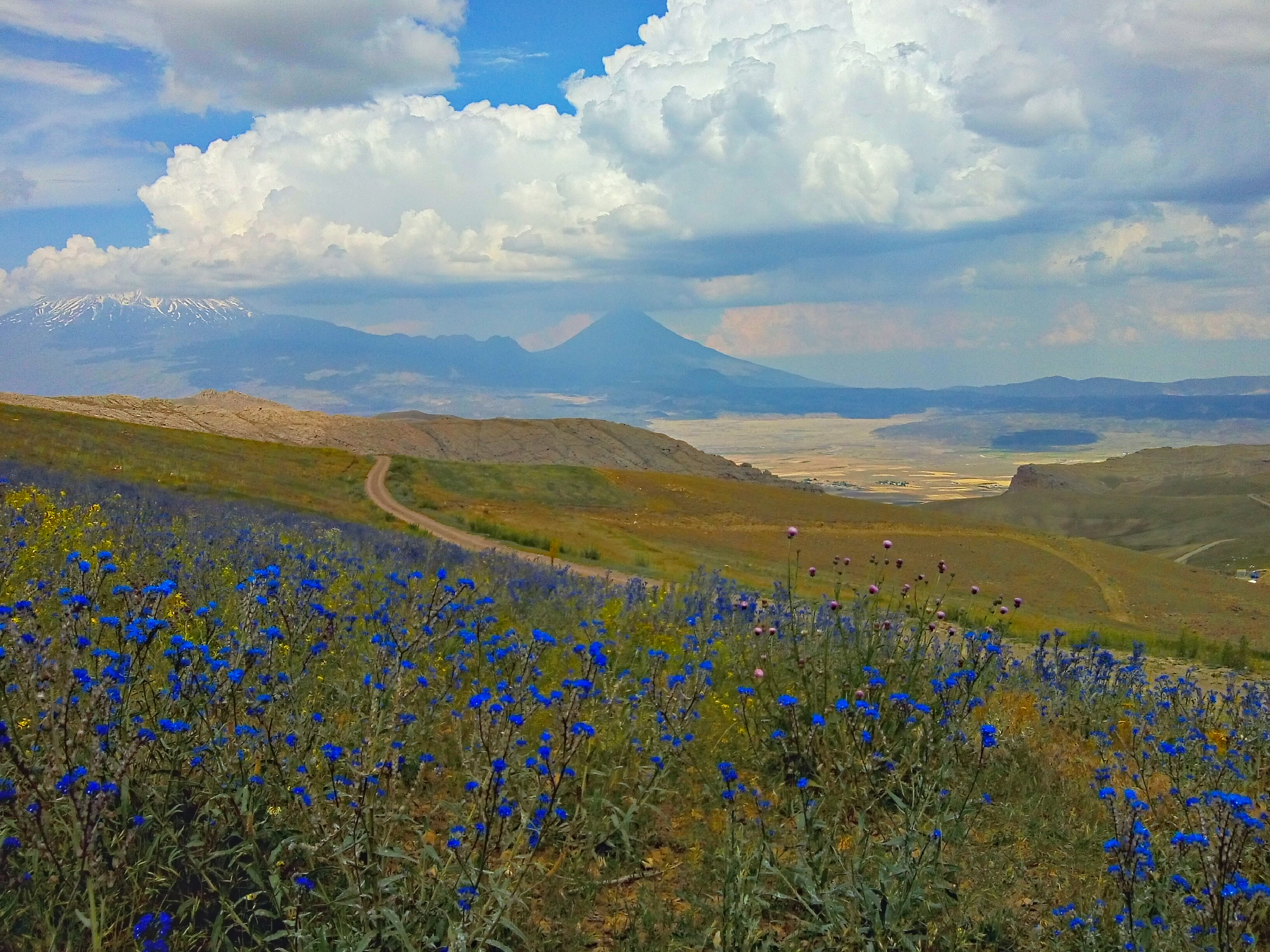 Озеро Ван, Арарат и древние тайны (16/33)