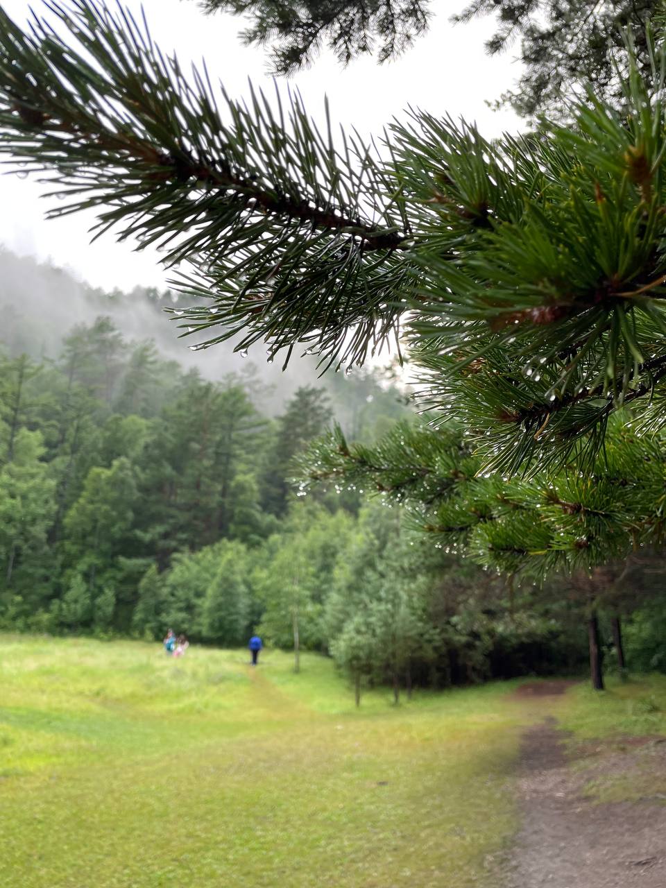 Большое Голоустное и величие Байкала (13/46)