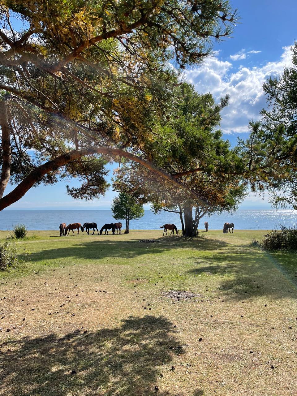 Большое Голоустное и величие Байкала (11/46)