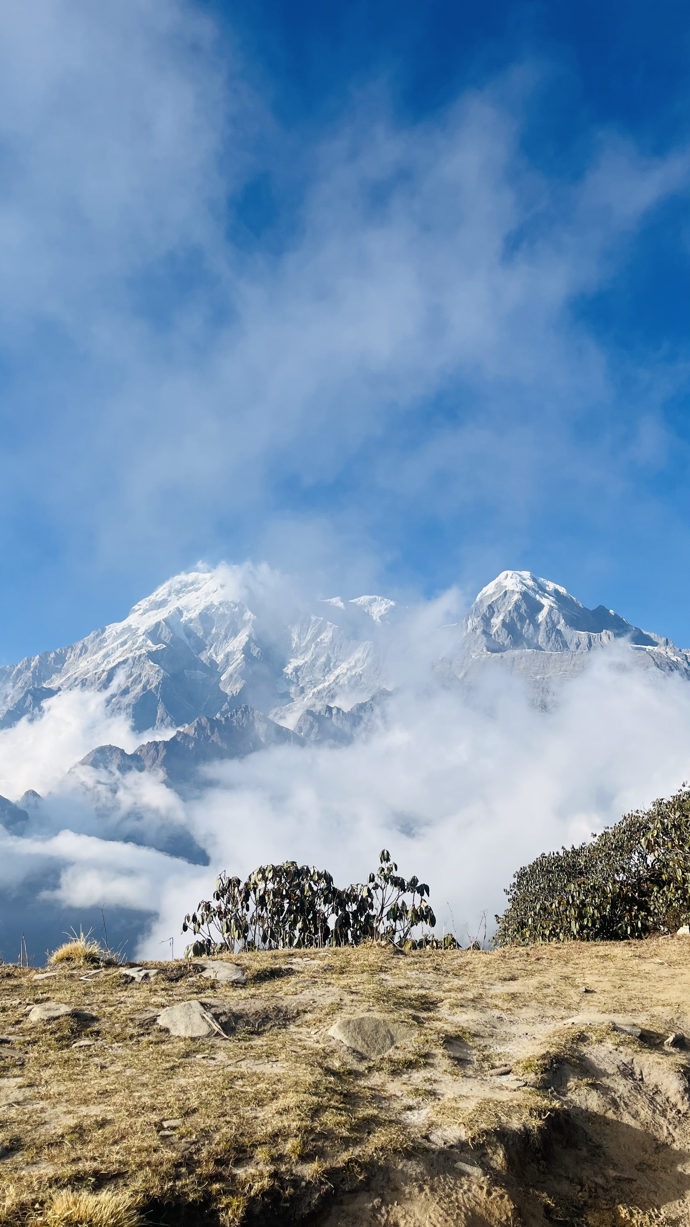 Треккинг вокруг Манаслу 15 дней (13/16)