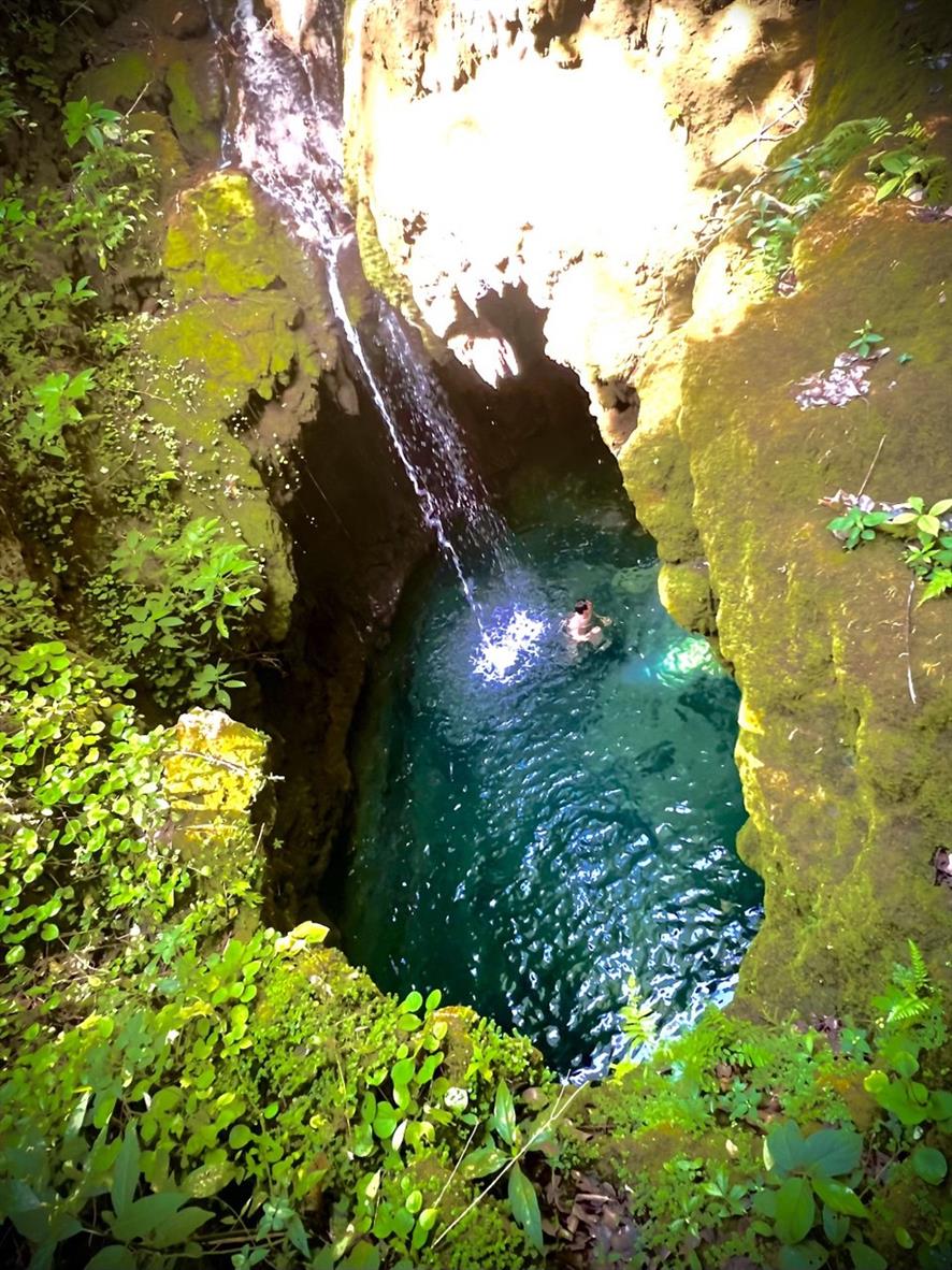 Бразилия: Рио, Пантанал, Бонито, Игуасу (20/80)