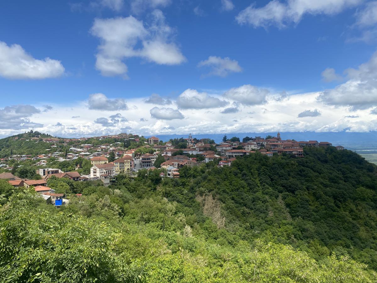 Грузия + Армения (2/21)