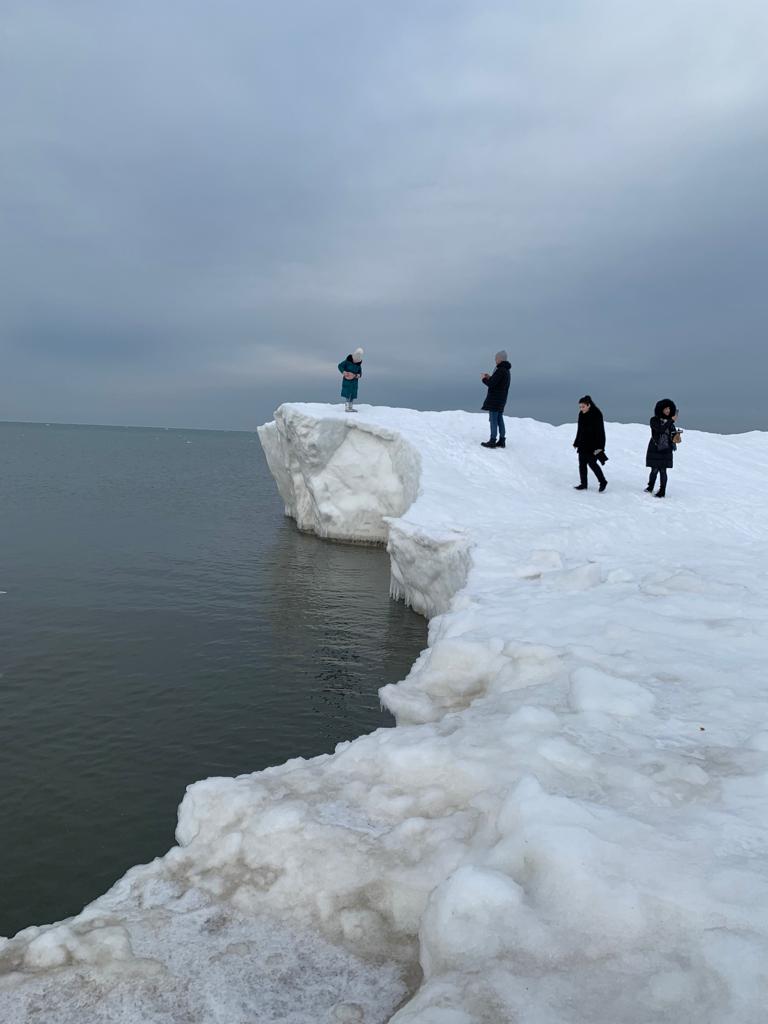 Куршская коса