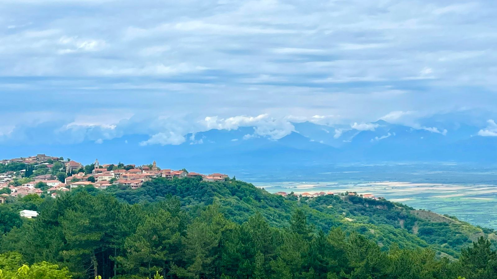 Изобильная Грузия (28/128)