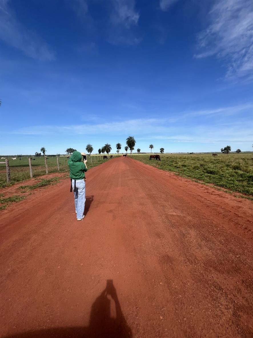 Бразилия: Рио, Пантанал, Бонито, Игуасу (21/80)