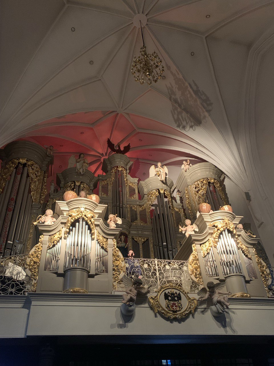 Янтарный Калининград (13/23)