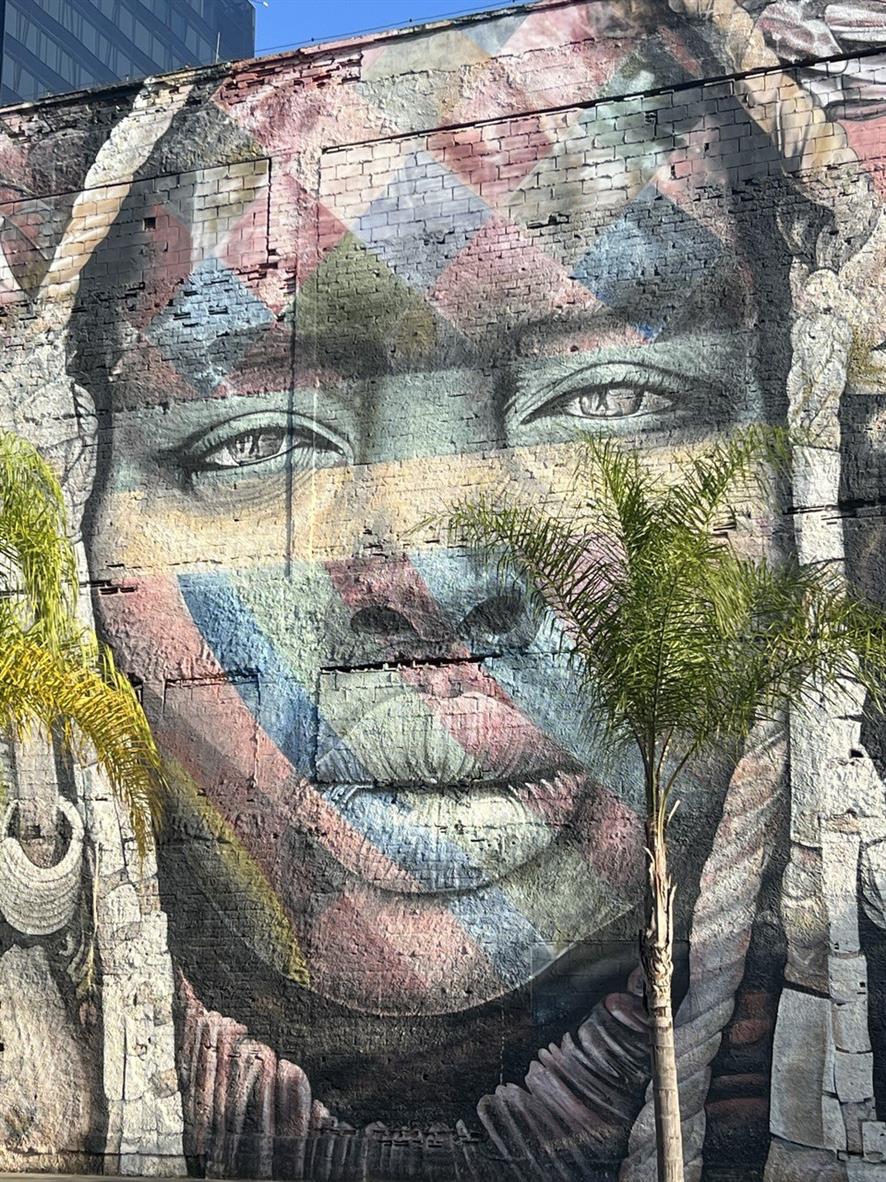 Бразилия: Рио, Пантанал, Бонито, Игуасу (4/80)