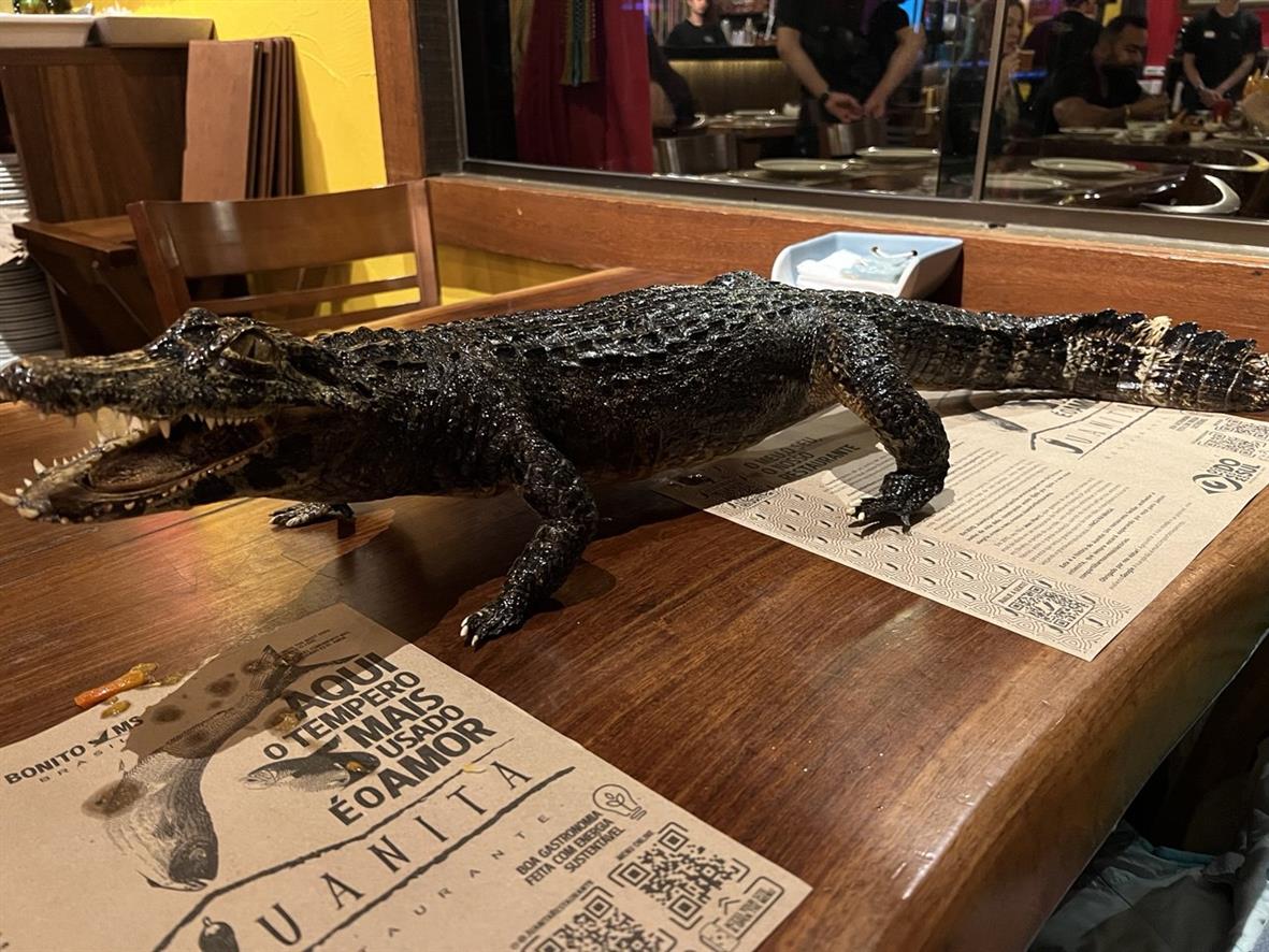 Бразилия: Рио, Пантанал, Бонито, Игуасу (22/80)