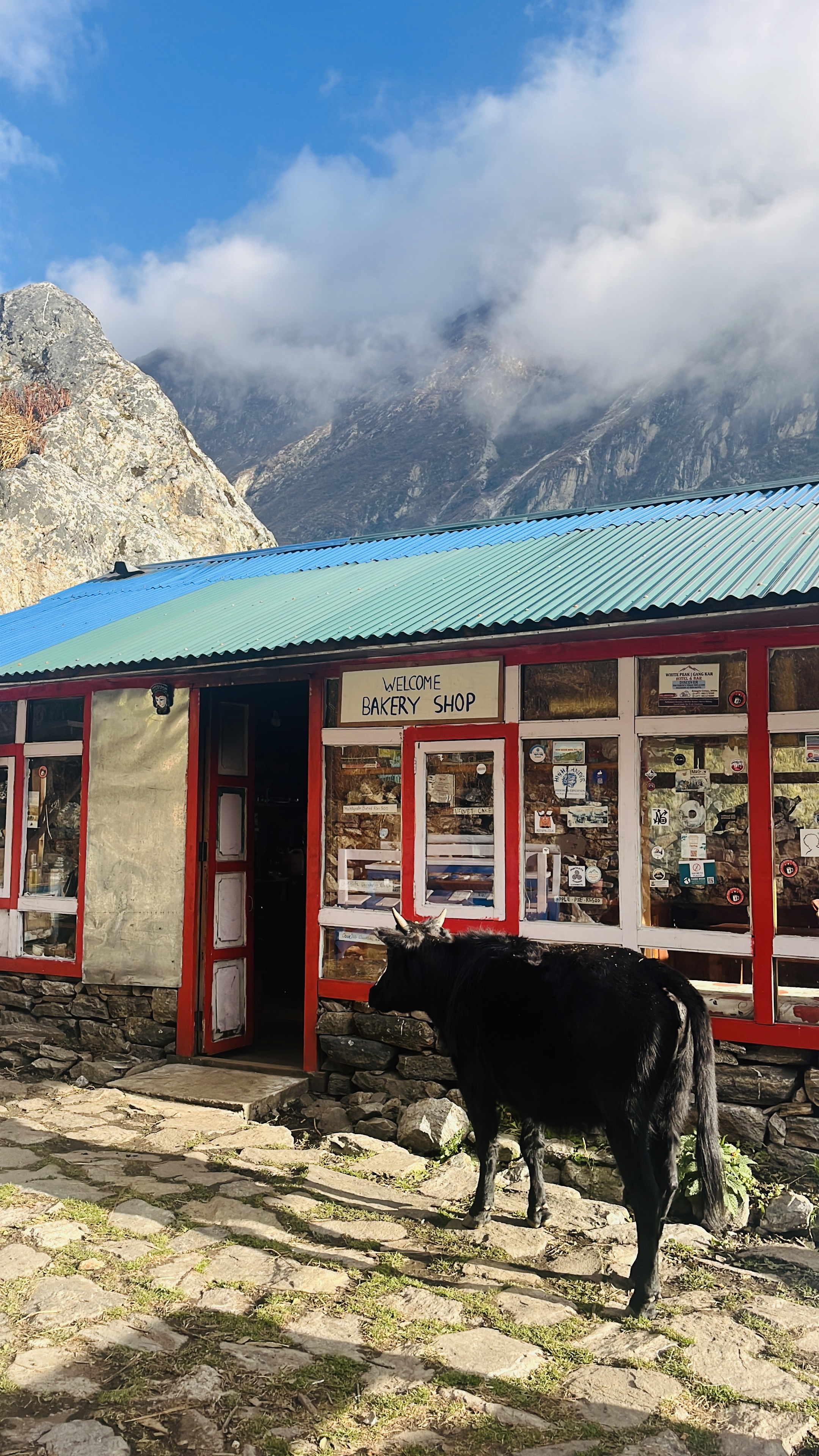 Треккинг вокруг Манаслу 15 дней (2/16)
