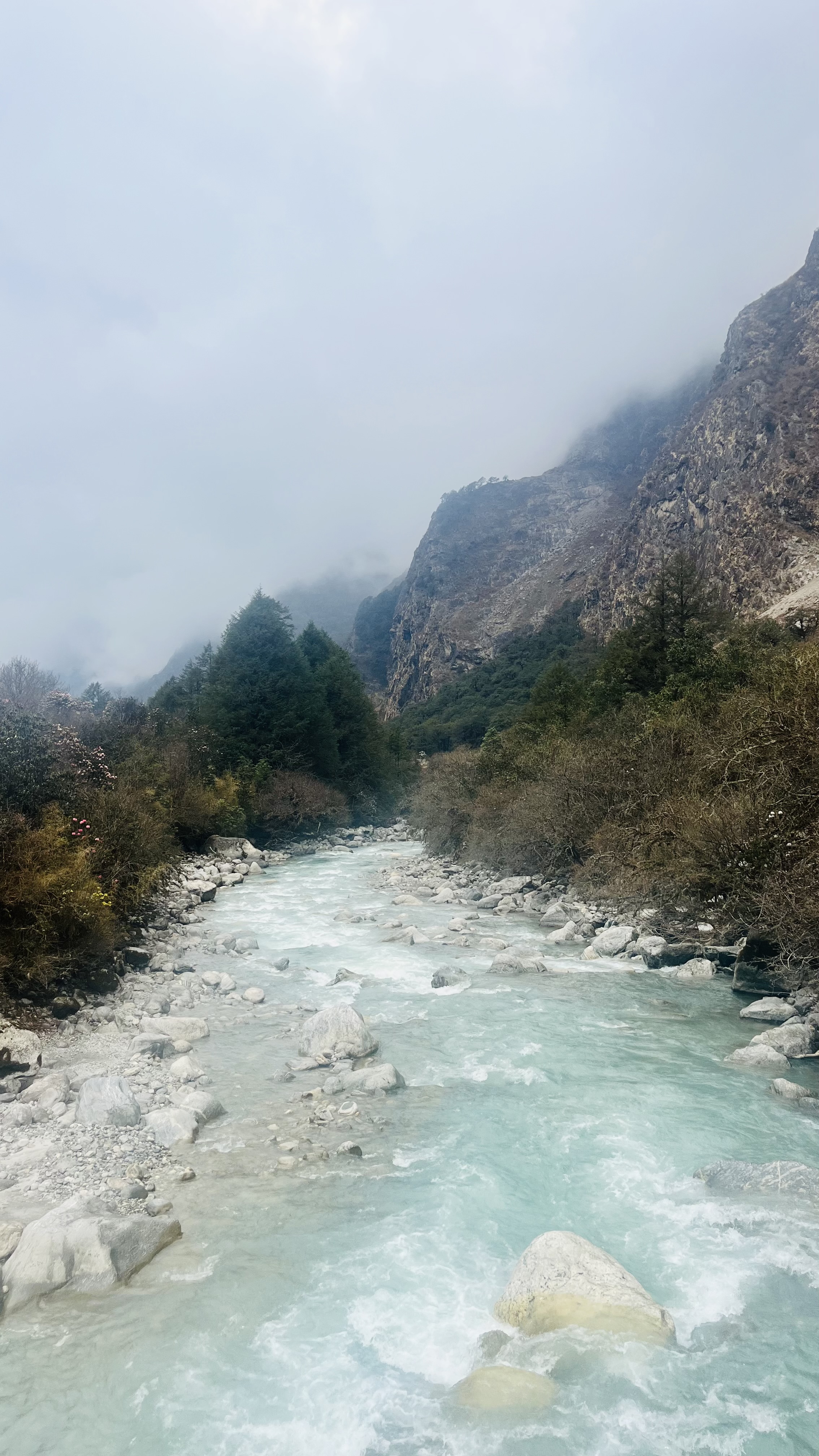 Треккинг вокруг Манаслу 15 дней (3/16)