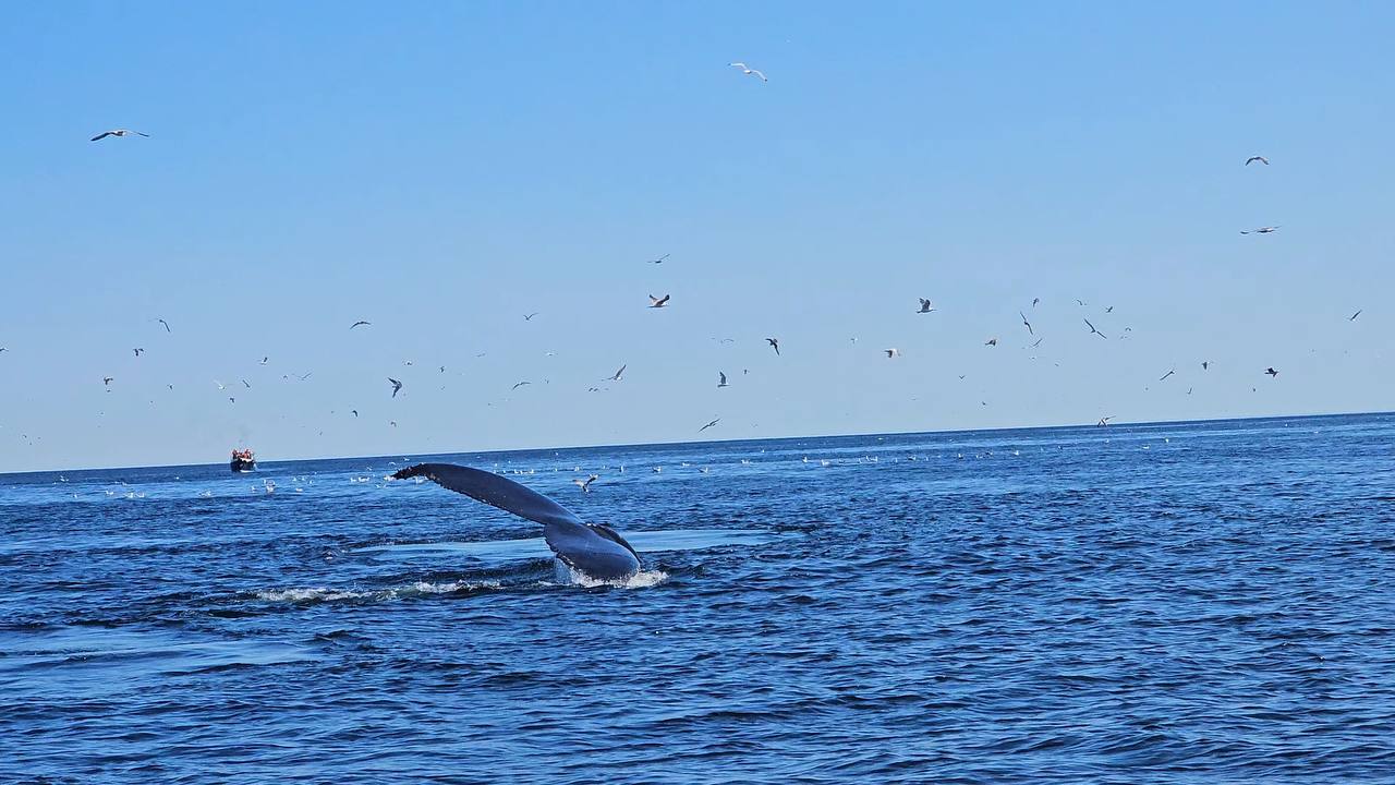 Териберка - на краю света (11/12)