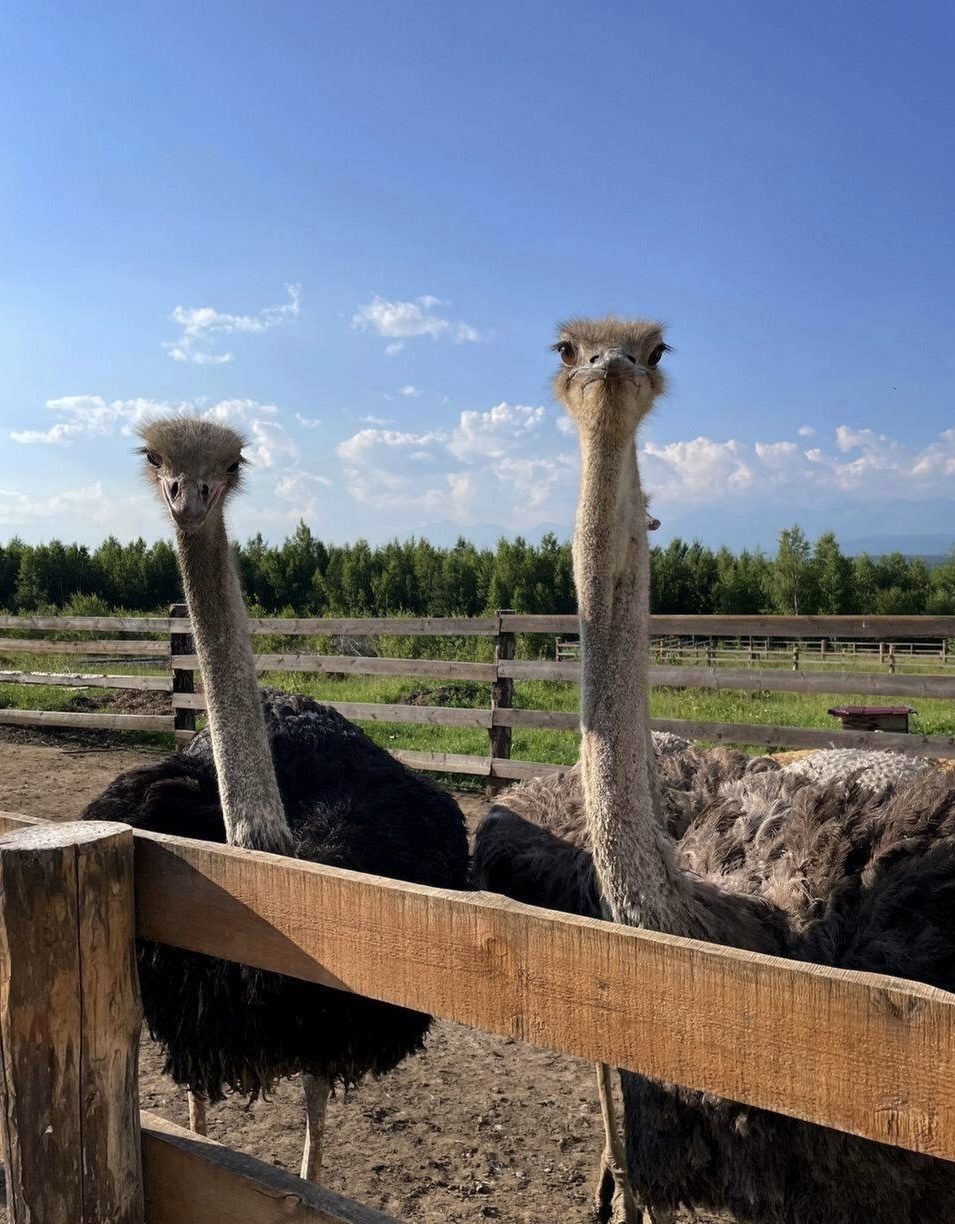 Бурятия, Аршан — дацаны, вулканы и термальные источники (16/44)