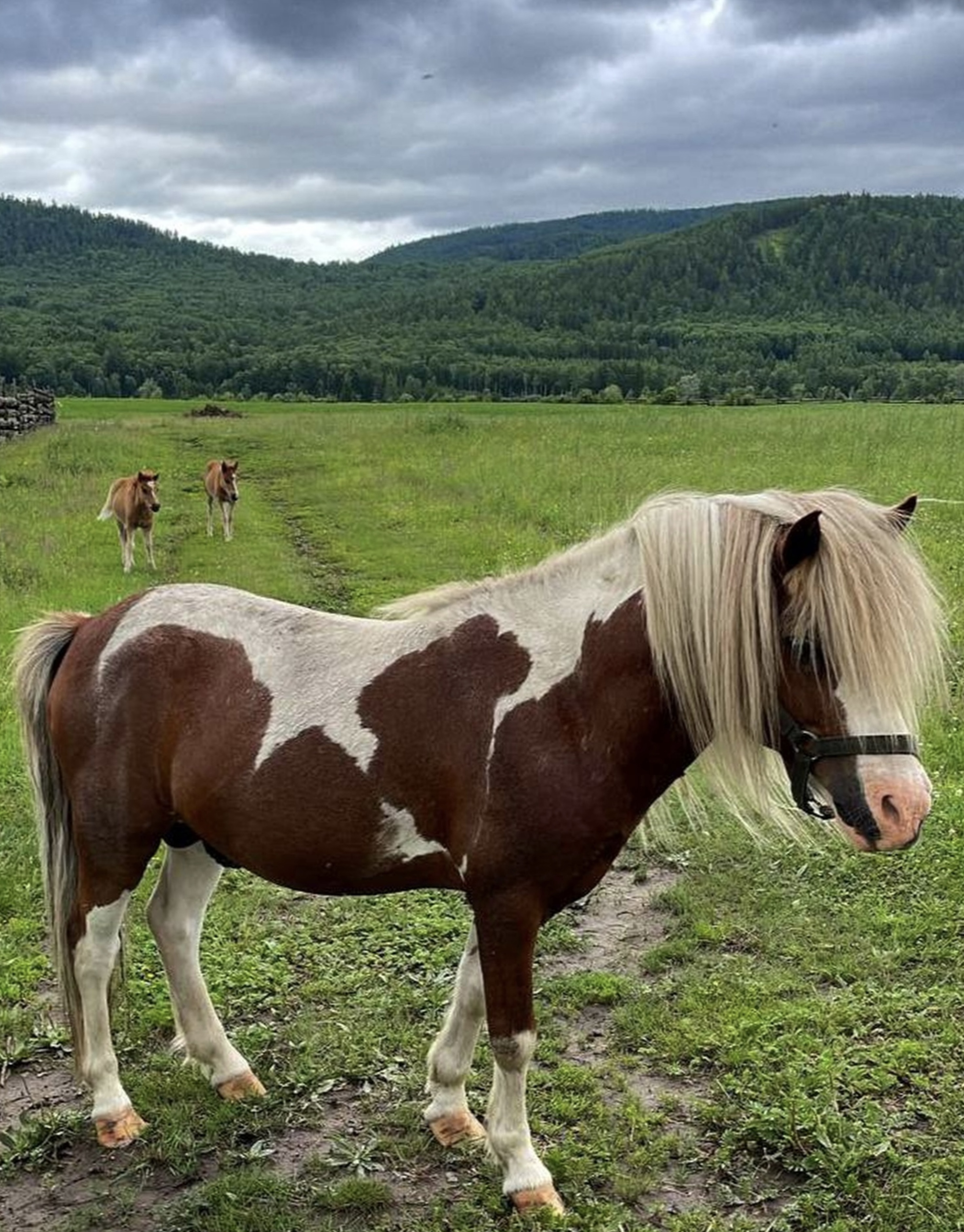 Бурятия, Аршан — дацаны, вулканы и термальные источники (2/44)