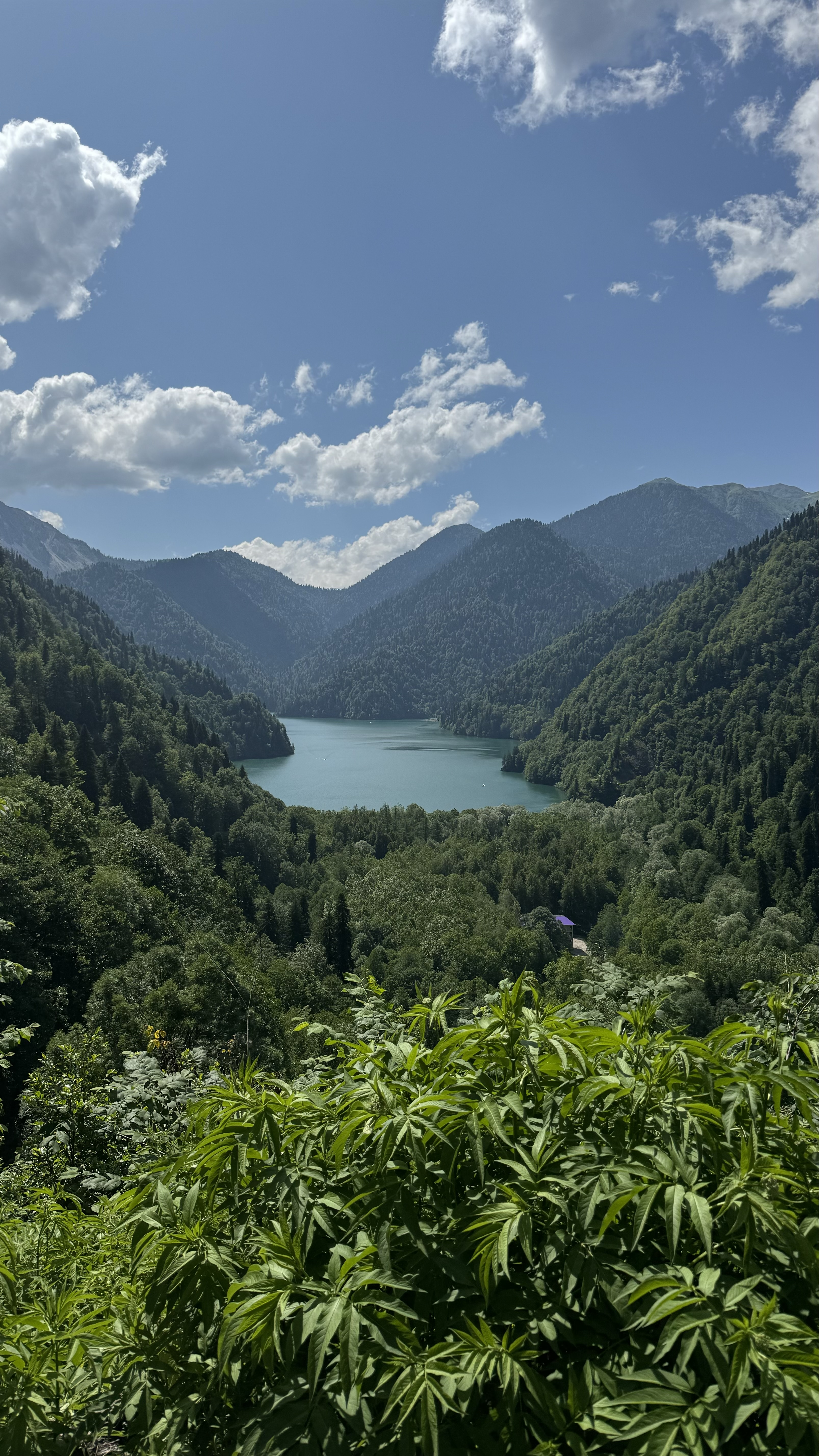 Волшебная безлюдная Рица (8/14)