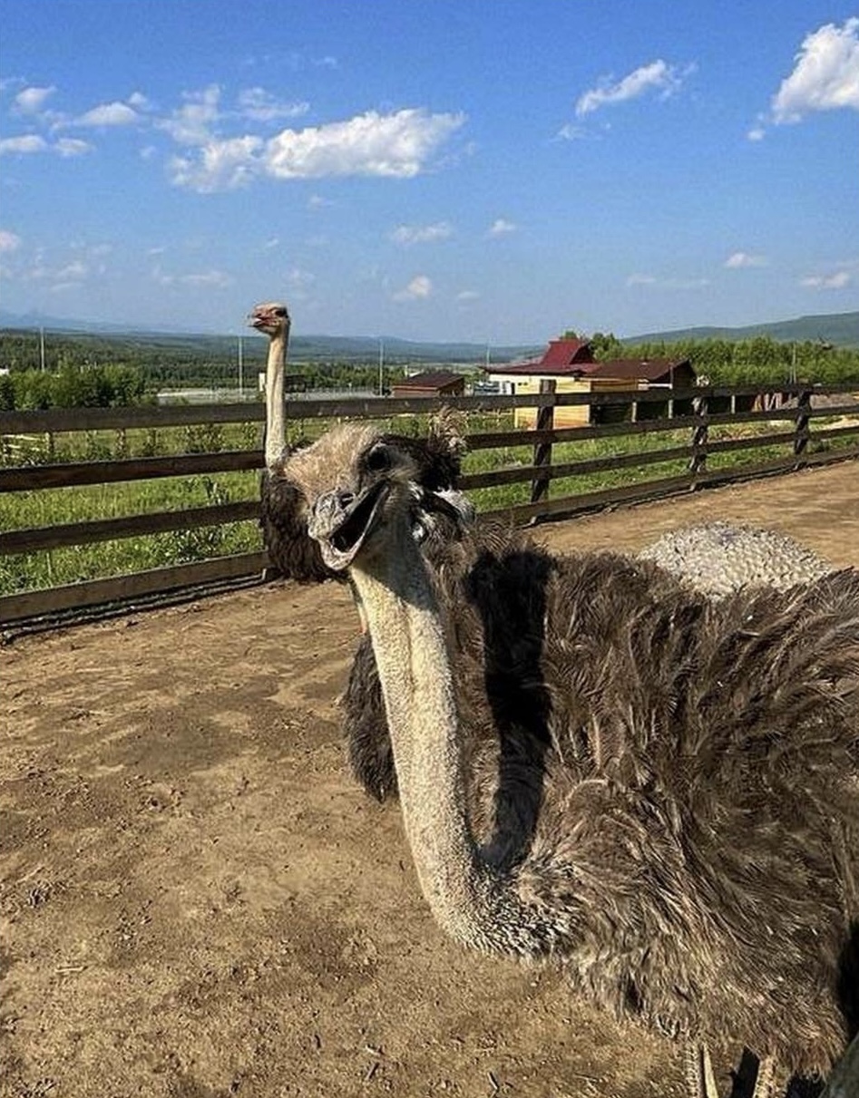 Бурятия, Аршан — дацаны, вулканы и термальные источники (18/44)