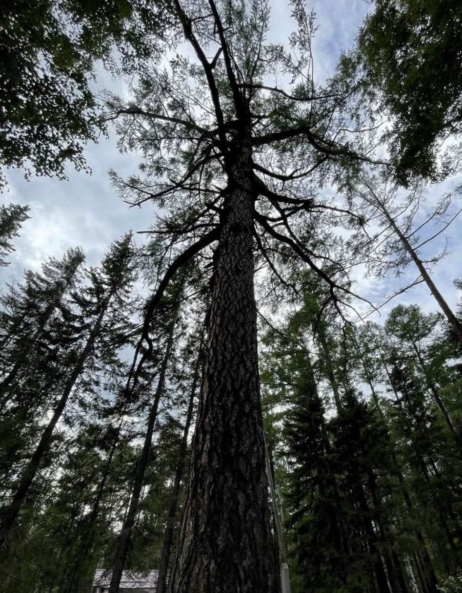 Бурятия, Аршан — дацаны, вулканы и термальные источники (7/44)