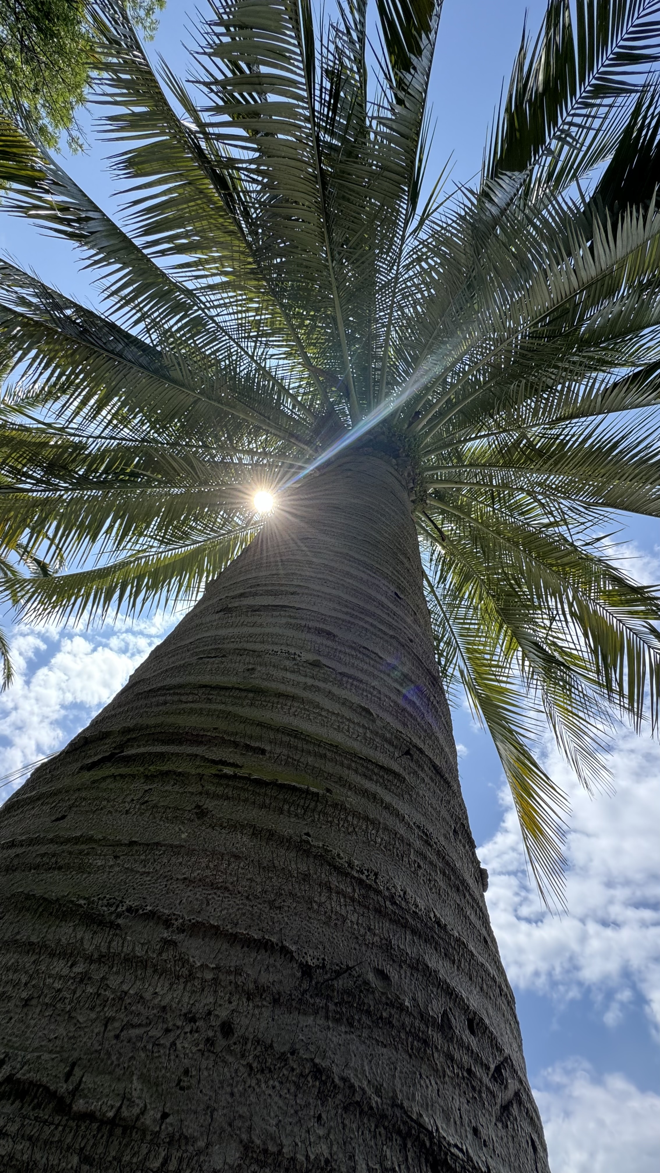 Волшебная безлюдная Рица (3/14)