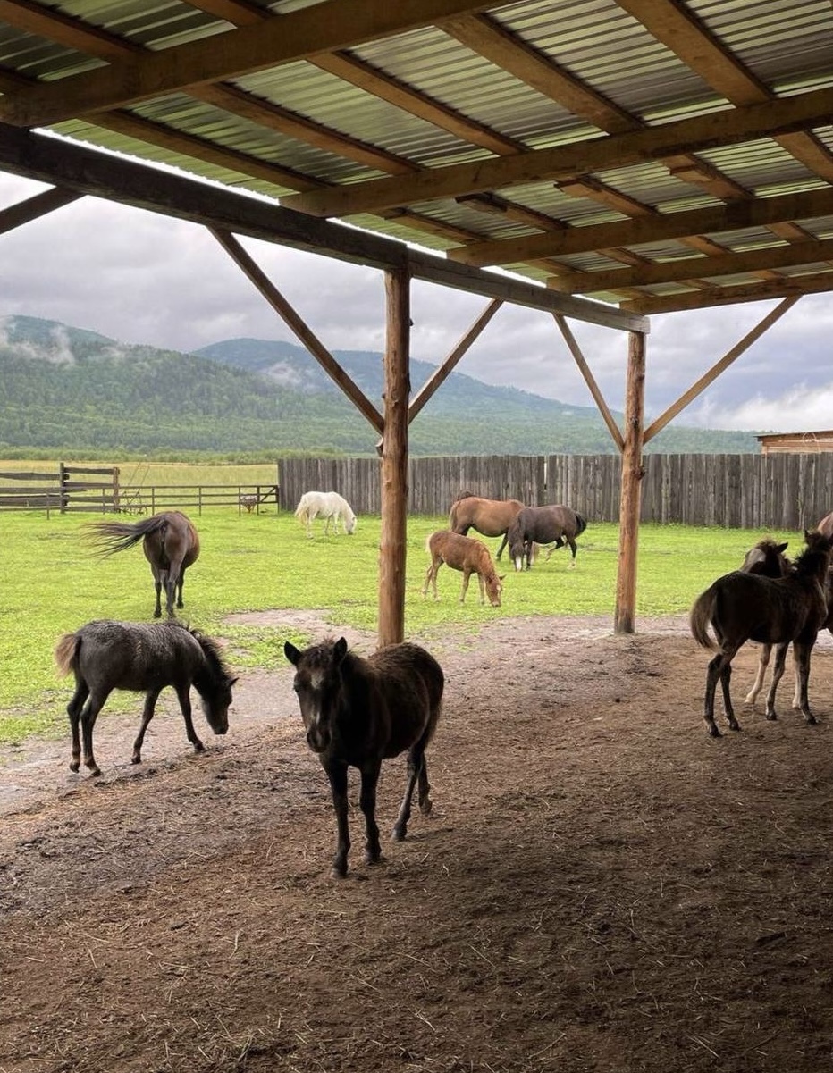 Бурятия, Аршан — дацаны, вулканы и термальные источники (19/44)