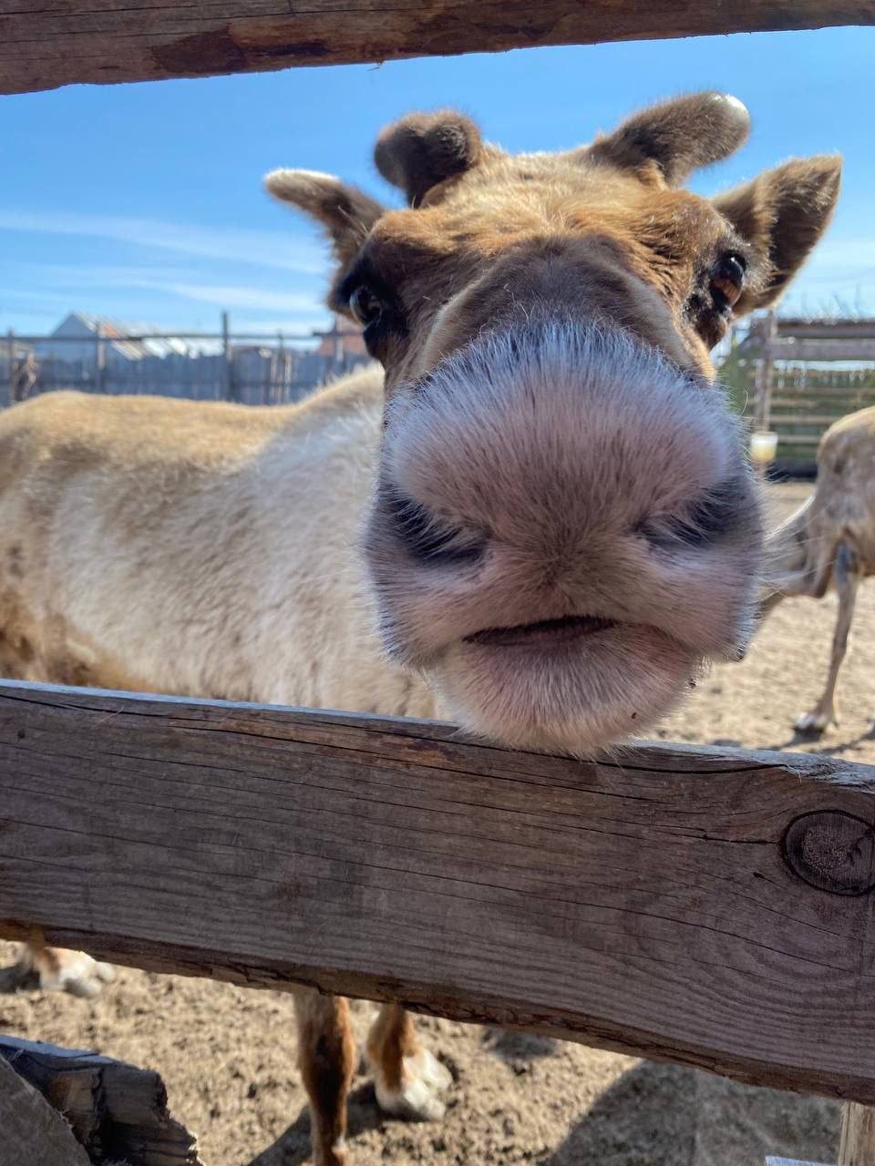 Териберка - на краю света (10/12)