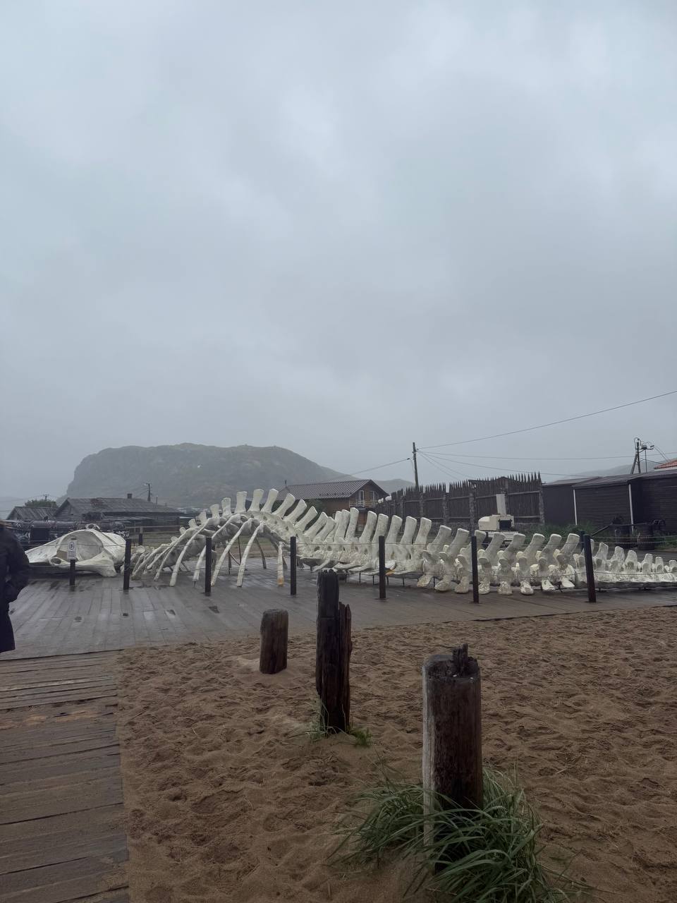 Териберка - на краю света (12/12)