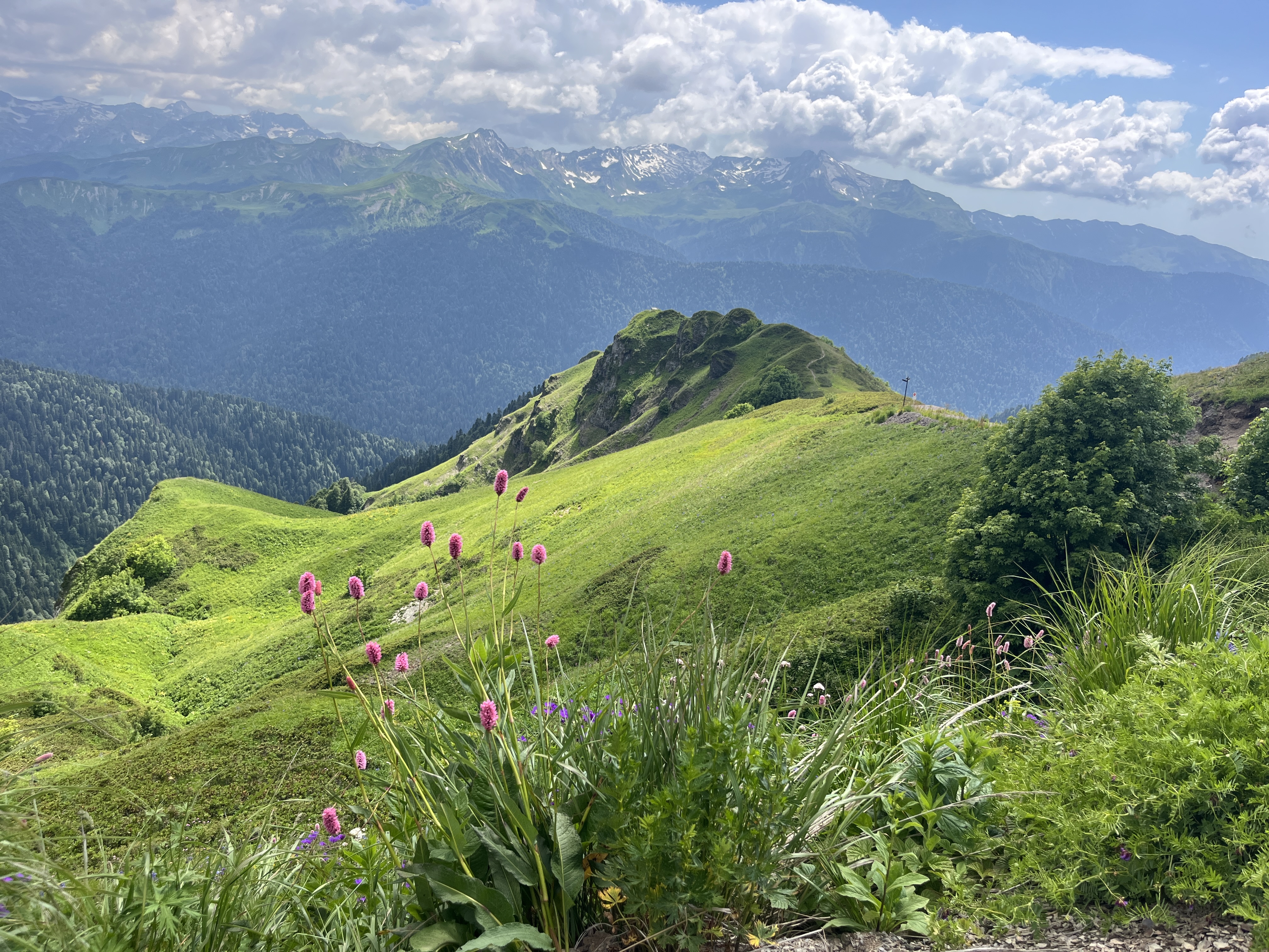 Горный лагерь на Розе