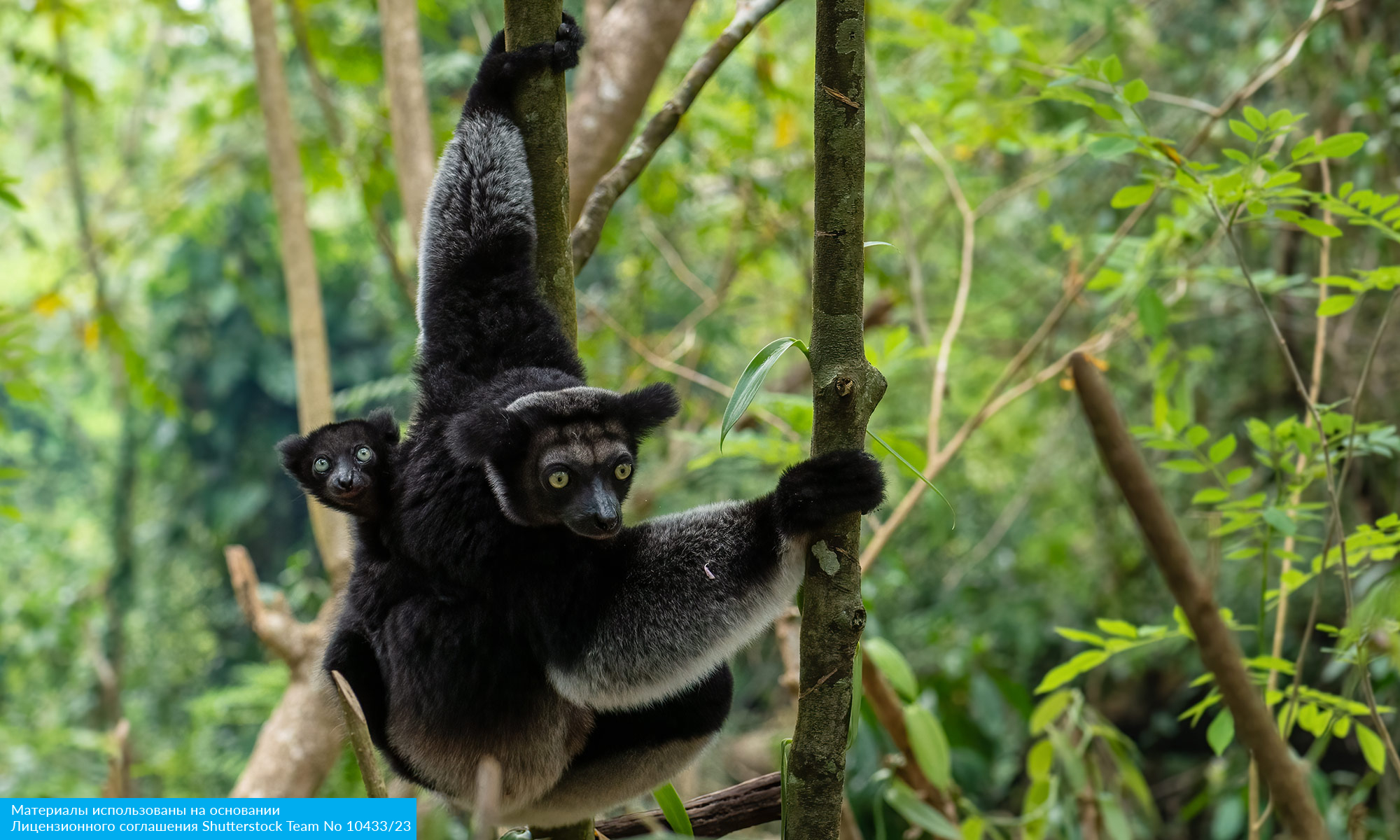 Восточный Мадагаскар и Маврикий (3/16)